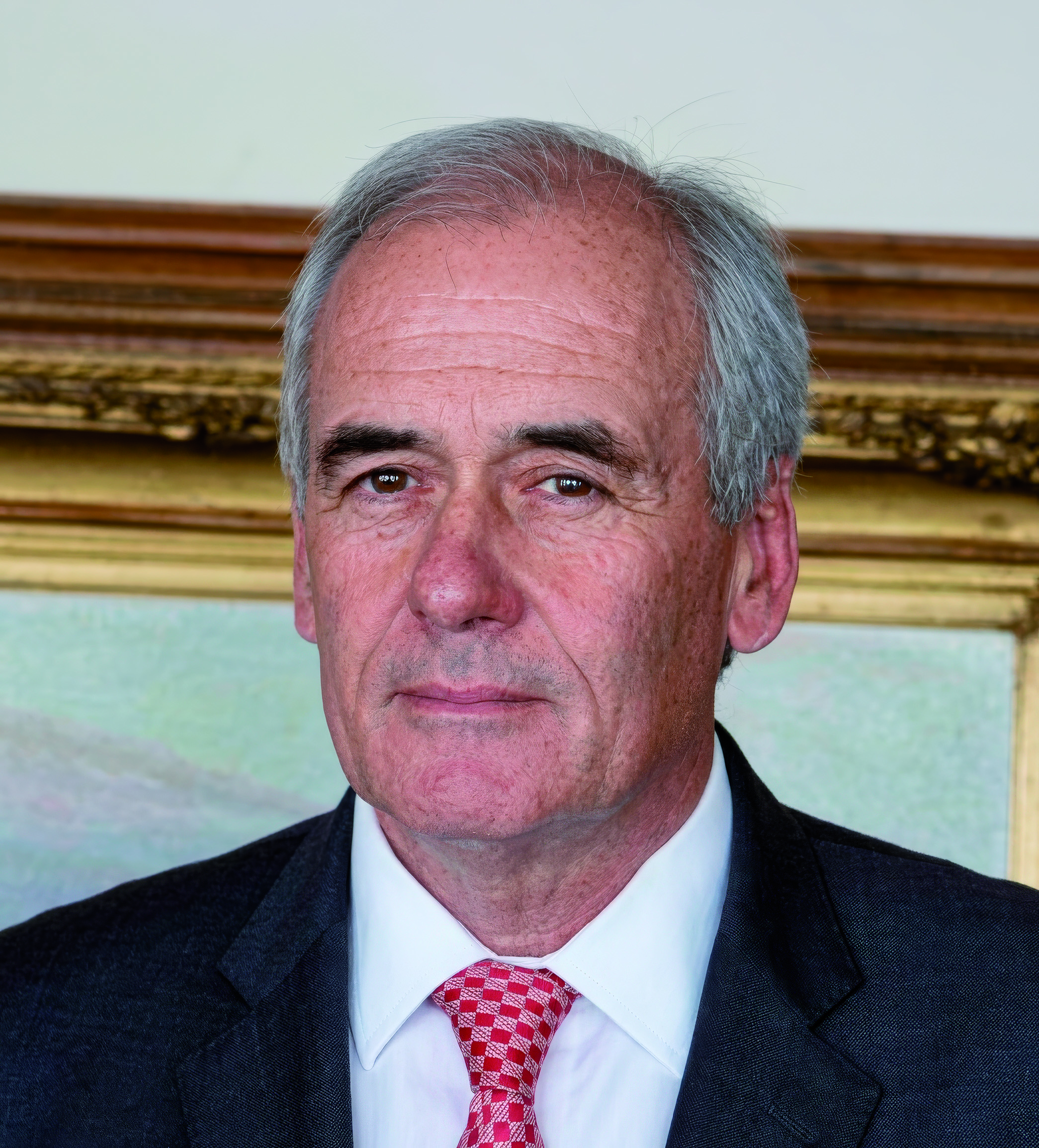 Sr. Javier Carvallo Pardo