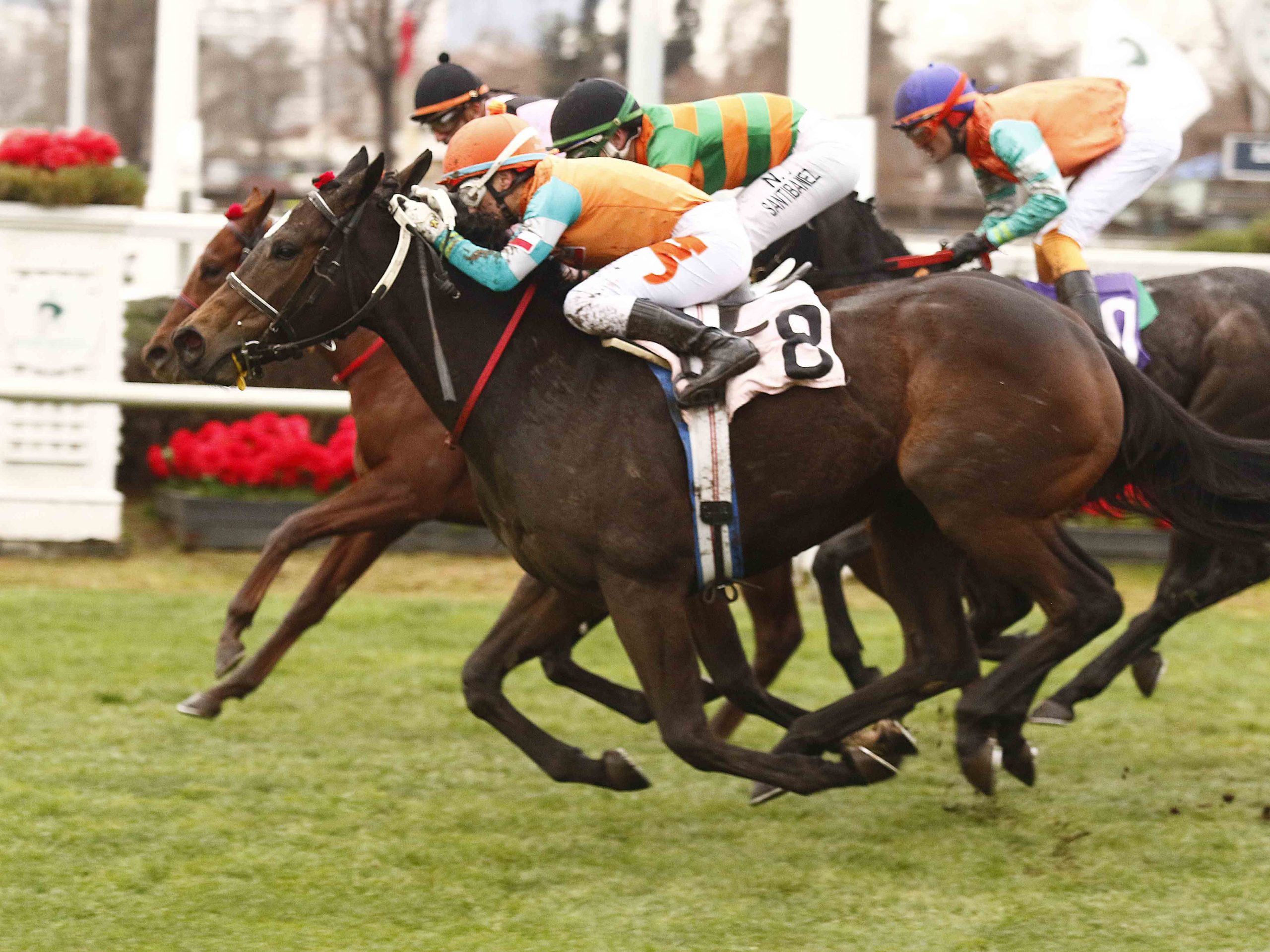 img_club_hipico_santiago