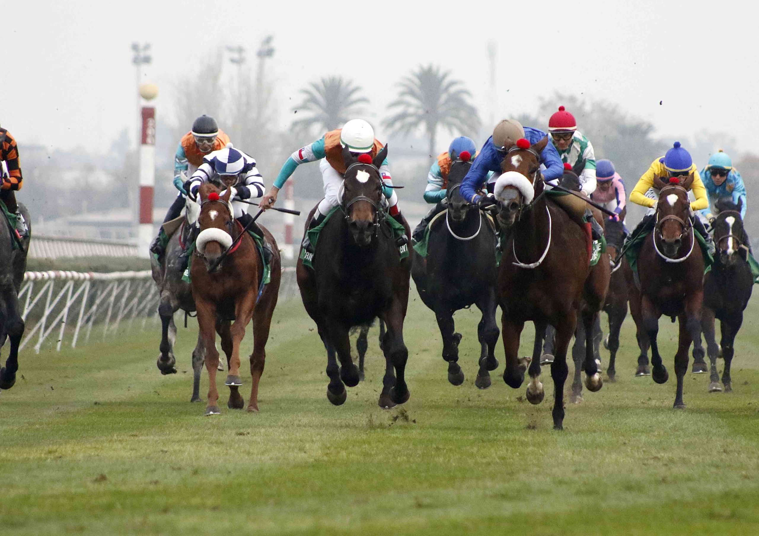 img_club_hipico_santiago