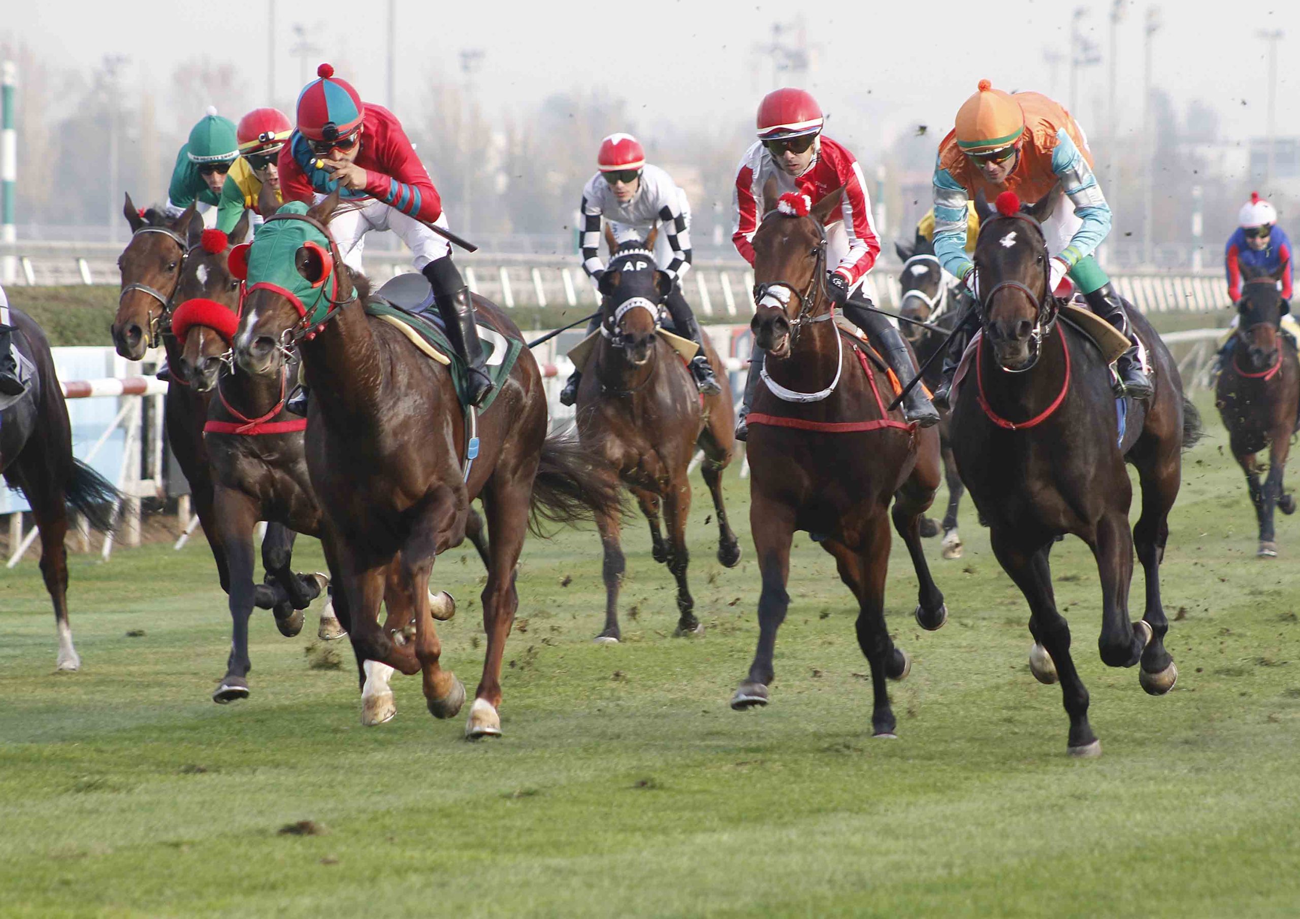 img_club_hipico_santiago