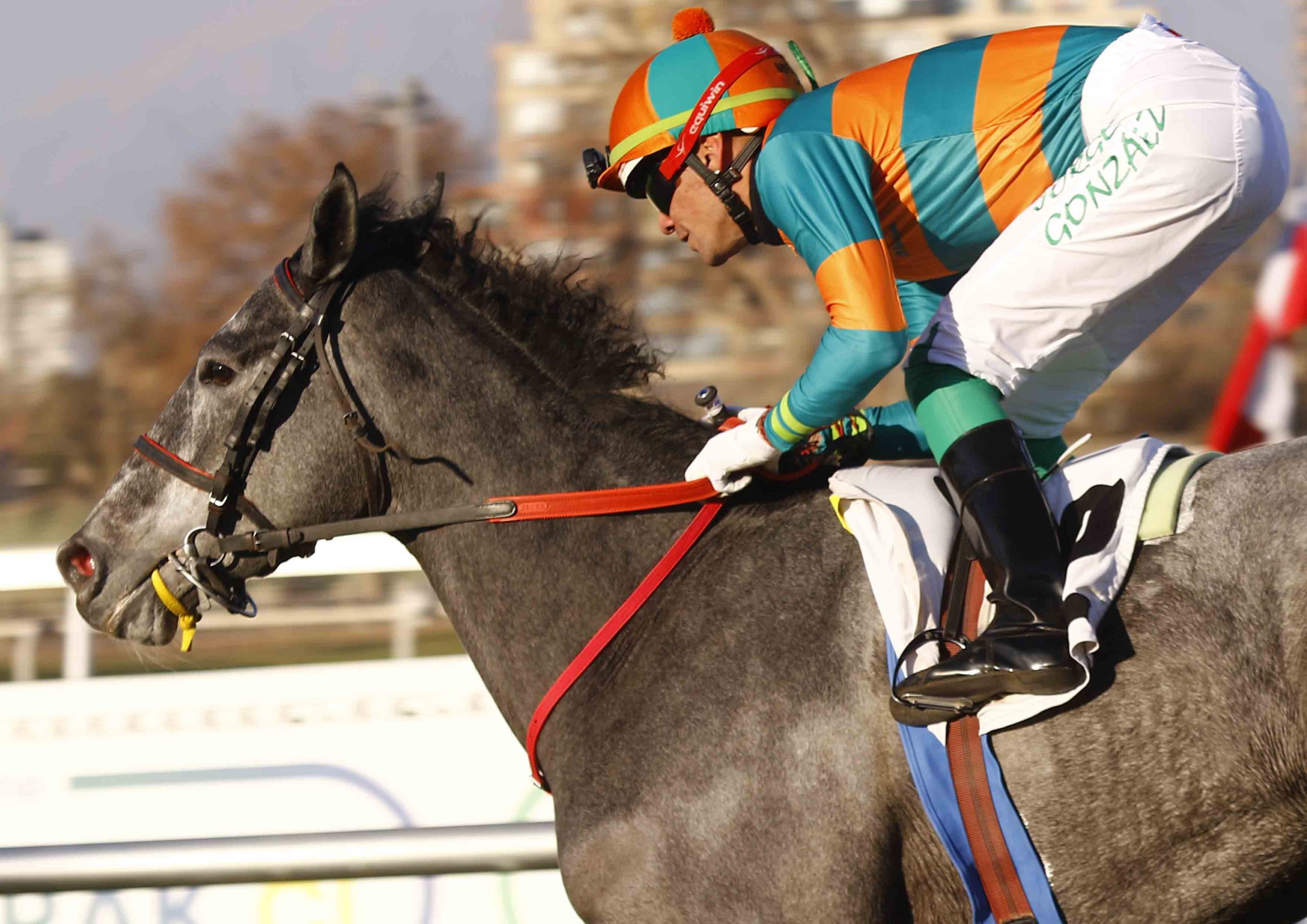 img_club_hipico_santiago