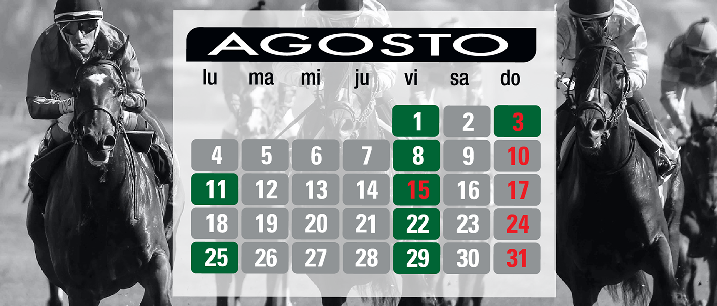 Calendario de Carreras 
