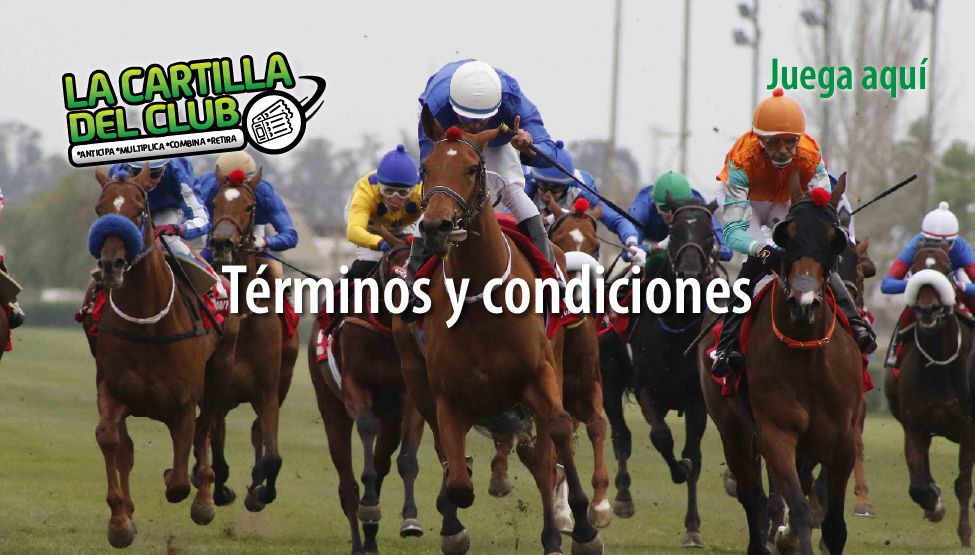 Términos y Condiciones 