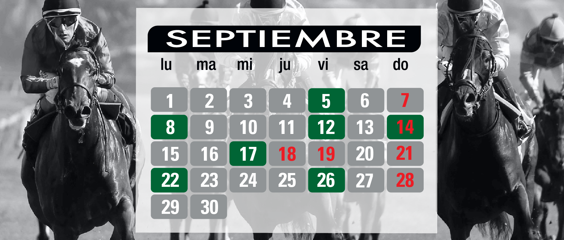 Calendario de Carreras 