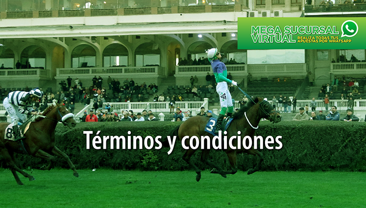 Revisa los términos y condiciones 