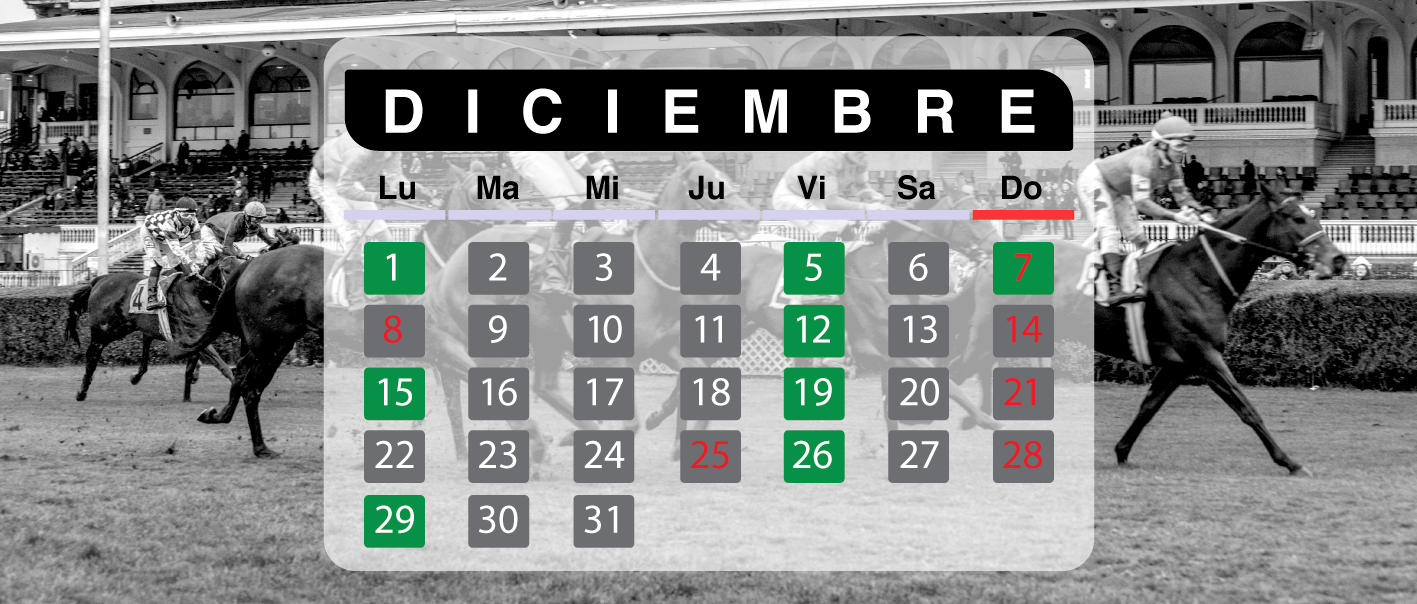 Calendario de Carreras 