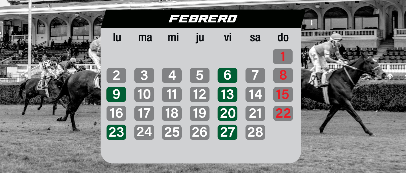 Calendario de Carreras 