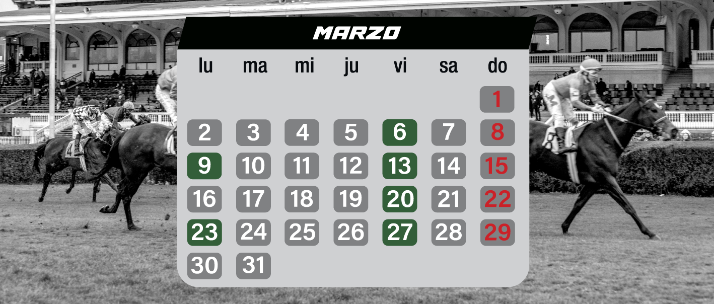 Calendario de Carreras 
