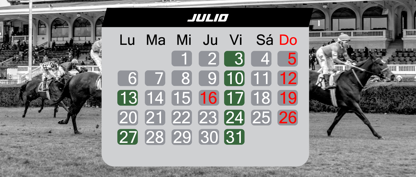 Calendario de Carreras 