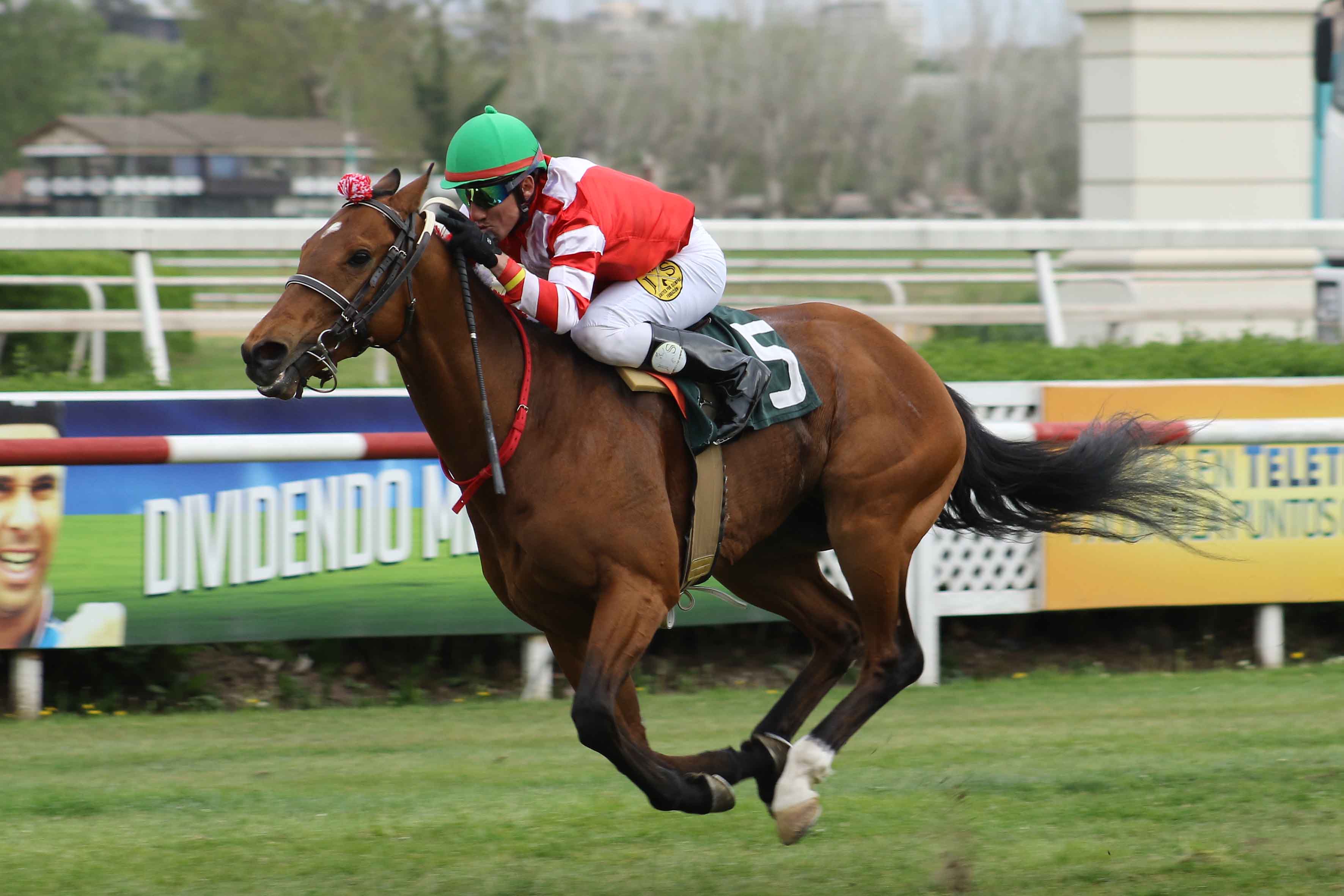 img_club_hipico_santiago