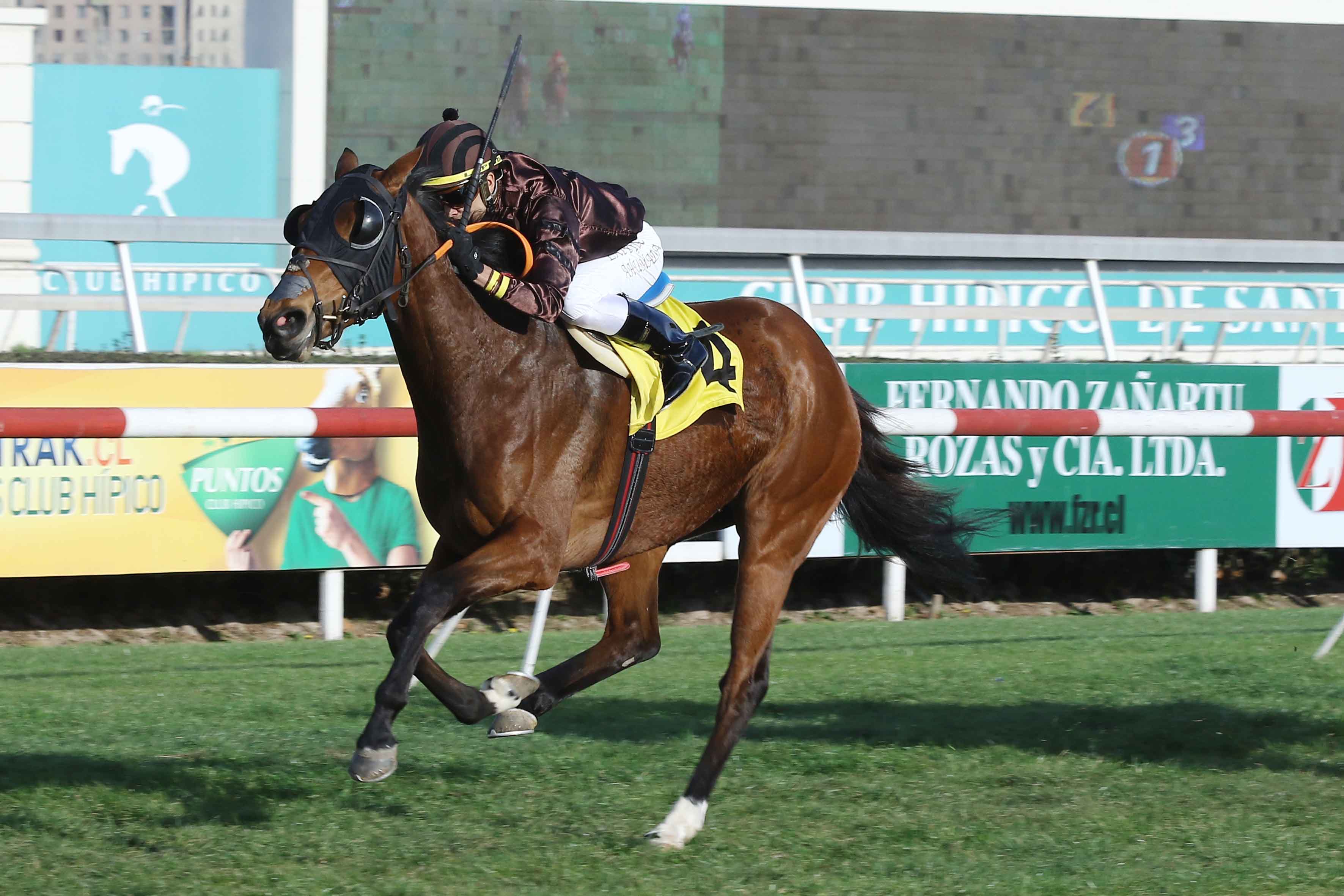 img_club_hipico_santiago