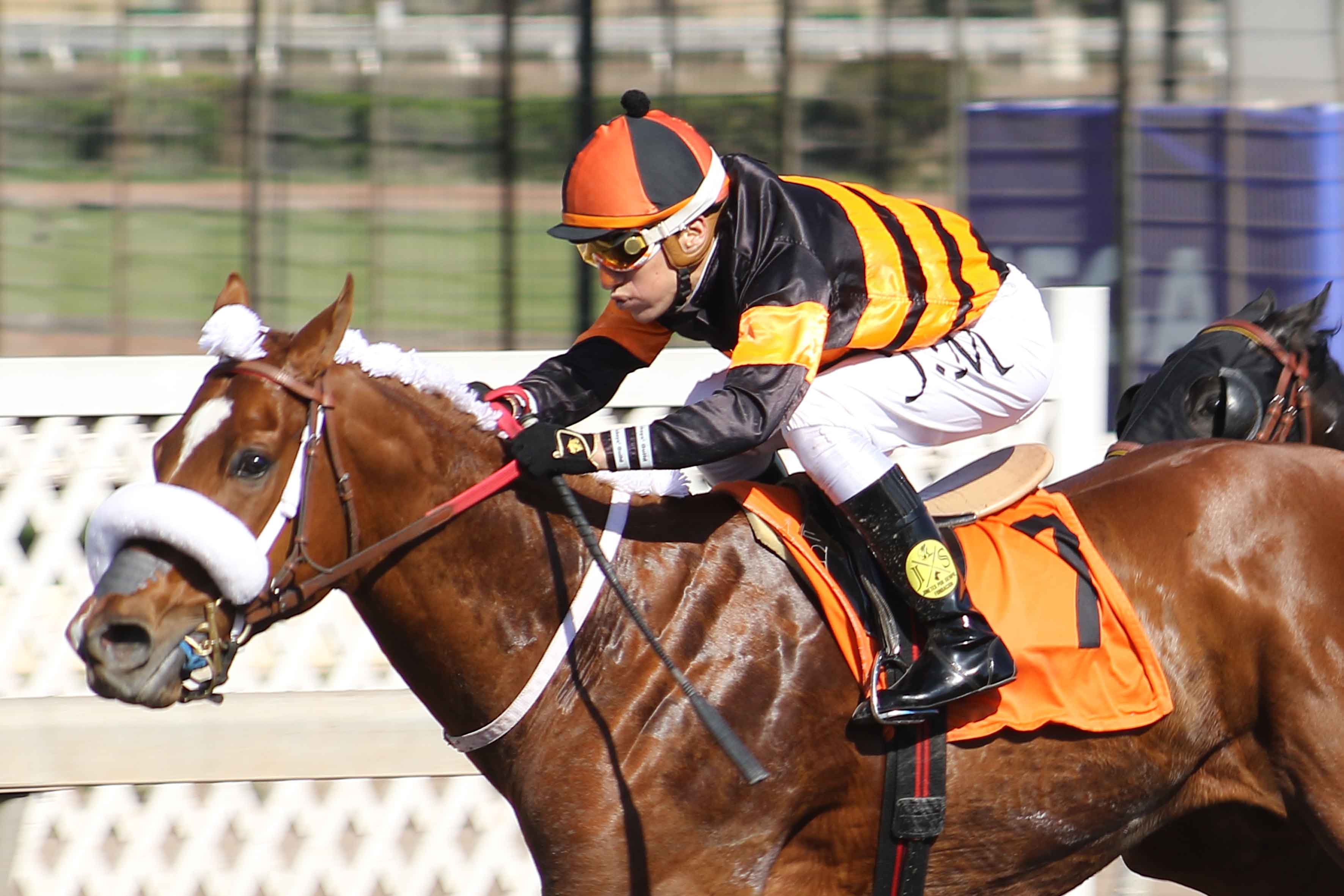 img_club_hipico_santiago