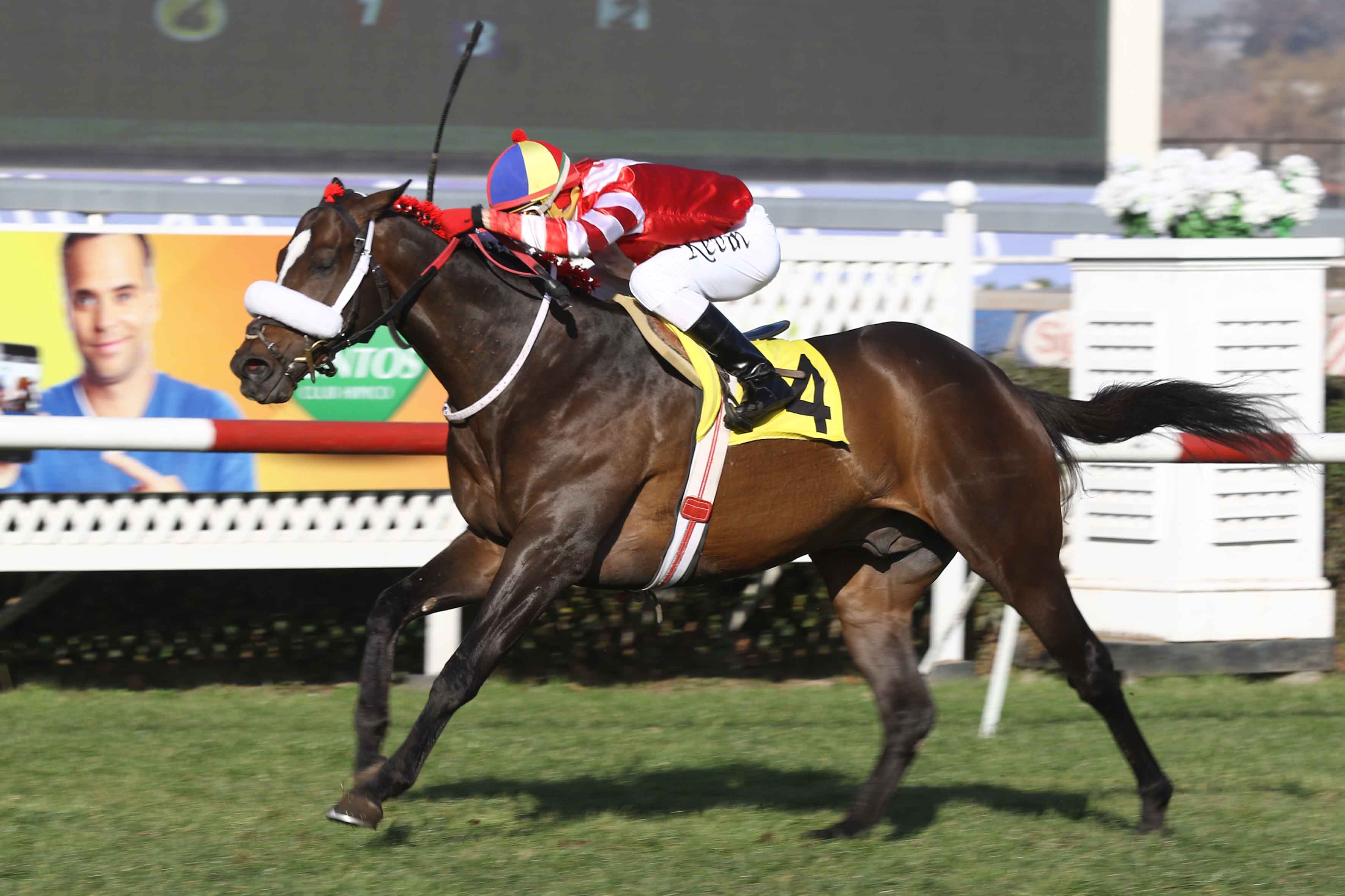 img_club_hipico_santiago