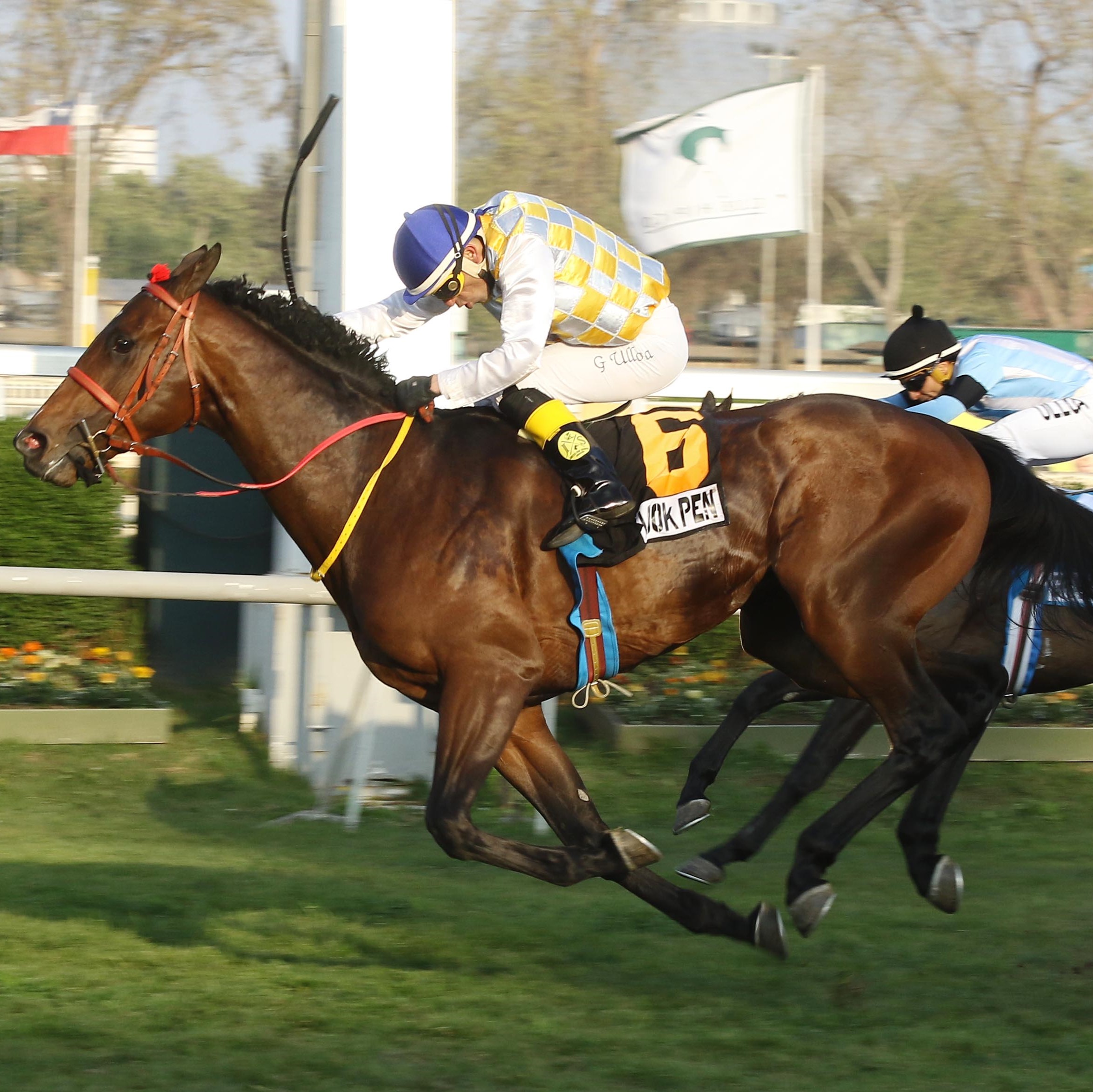 img_club_hipico_santiago