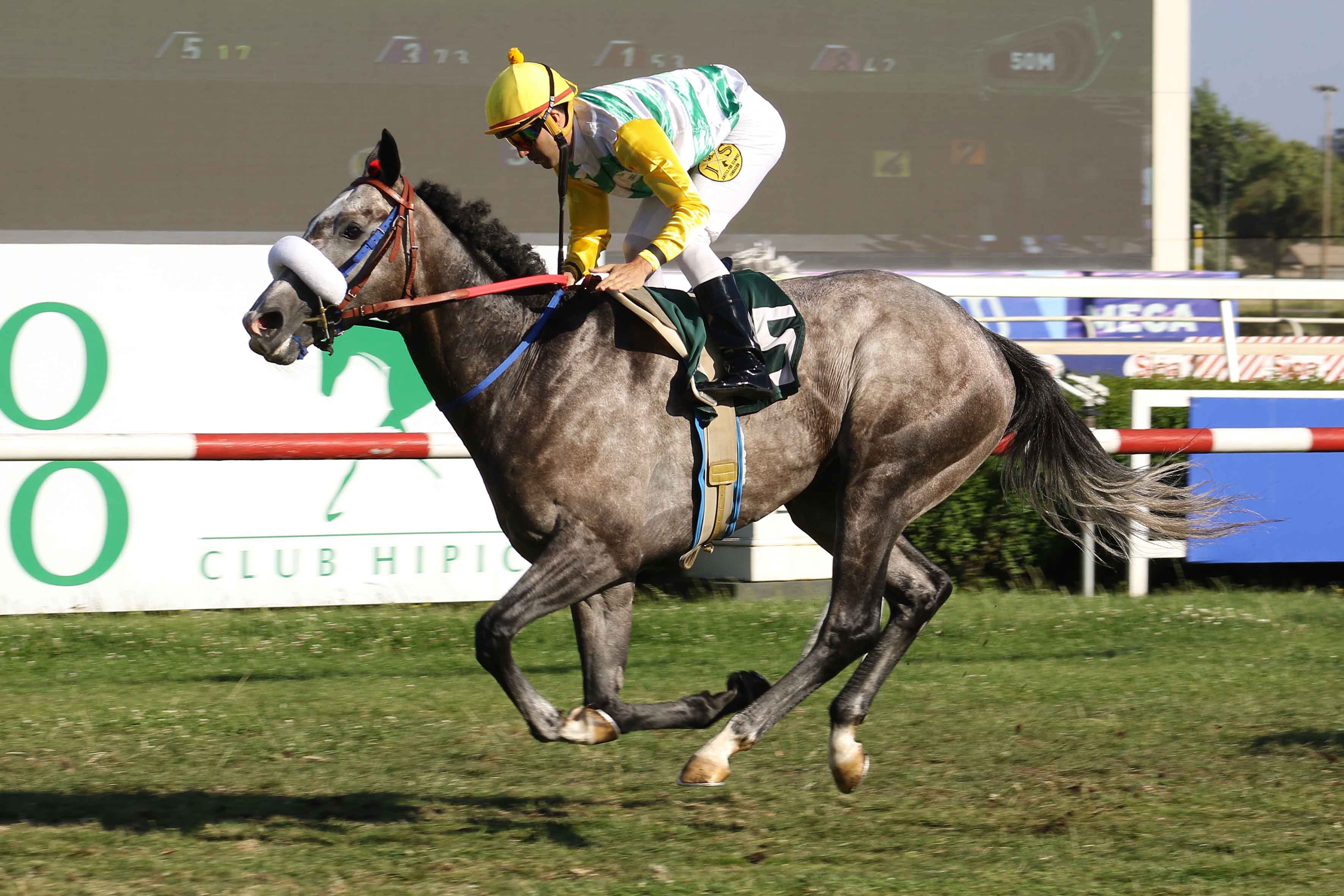 img_club_hipico_santiago