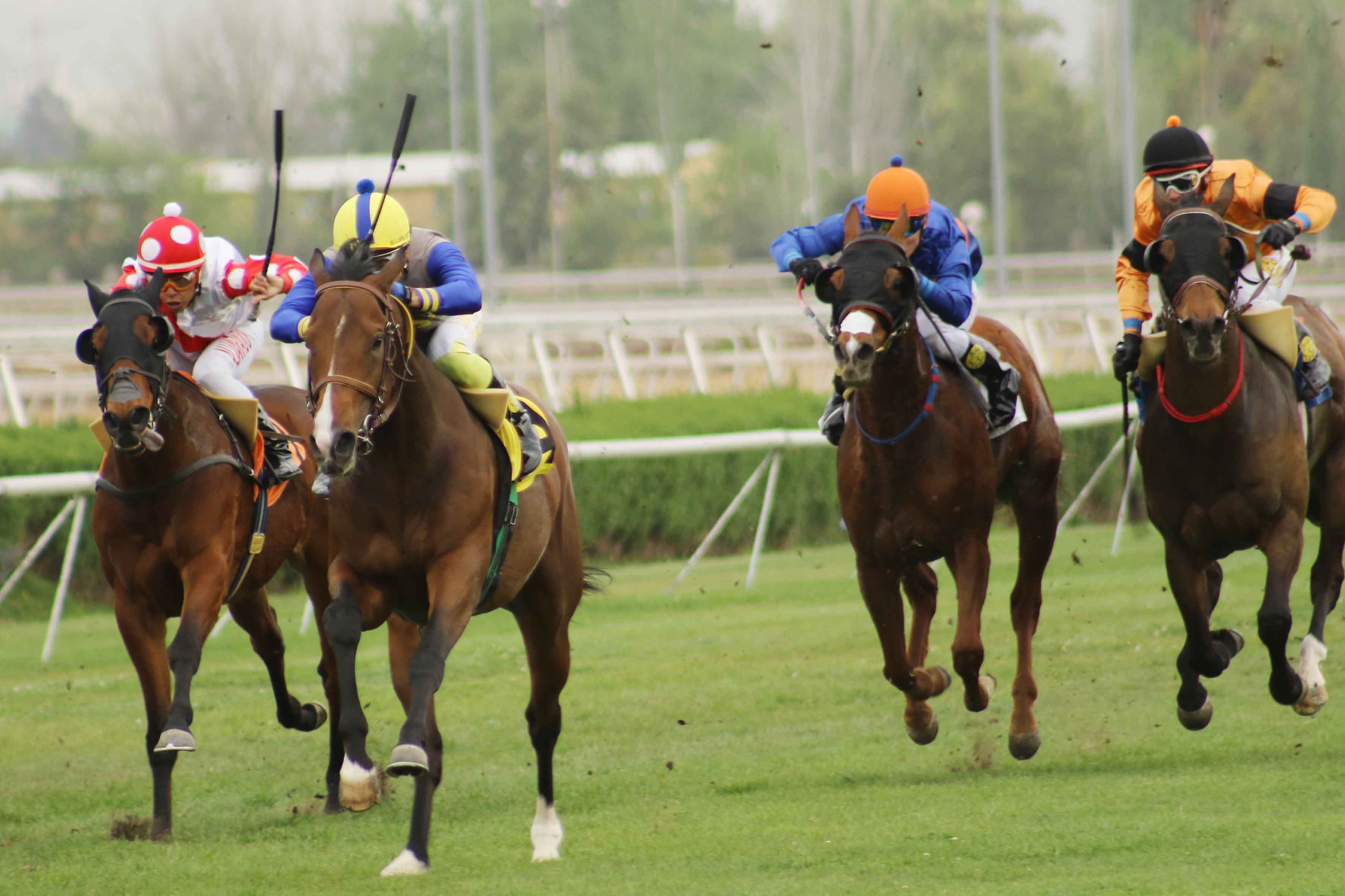 img_club_hipico_santiago