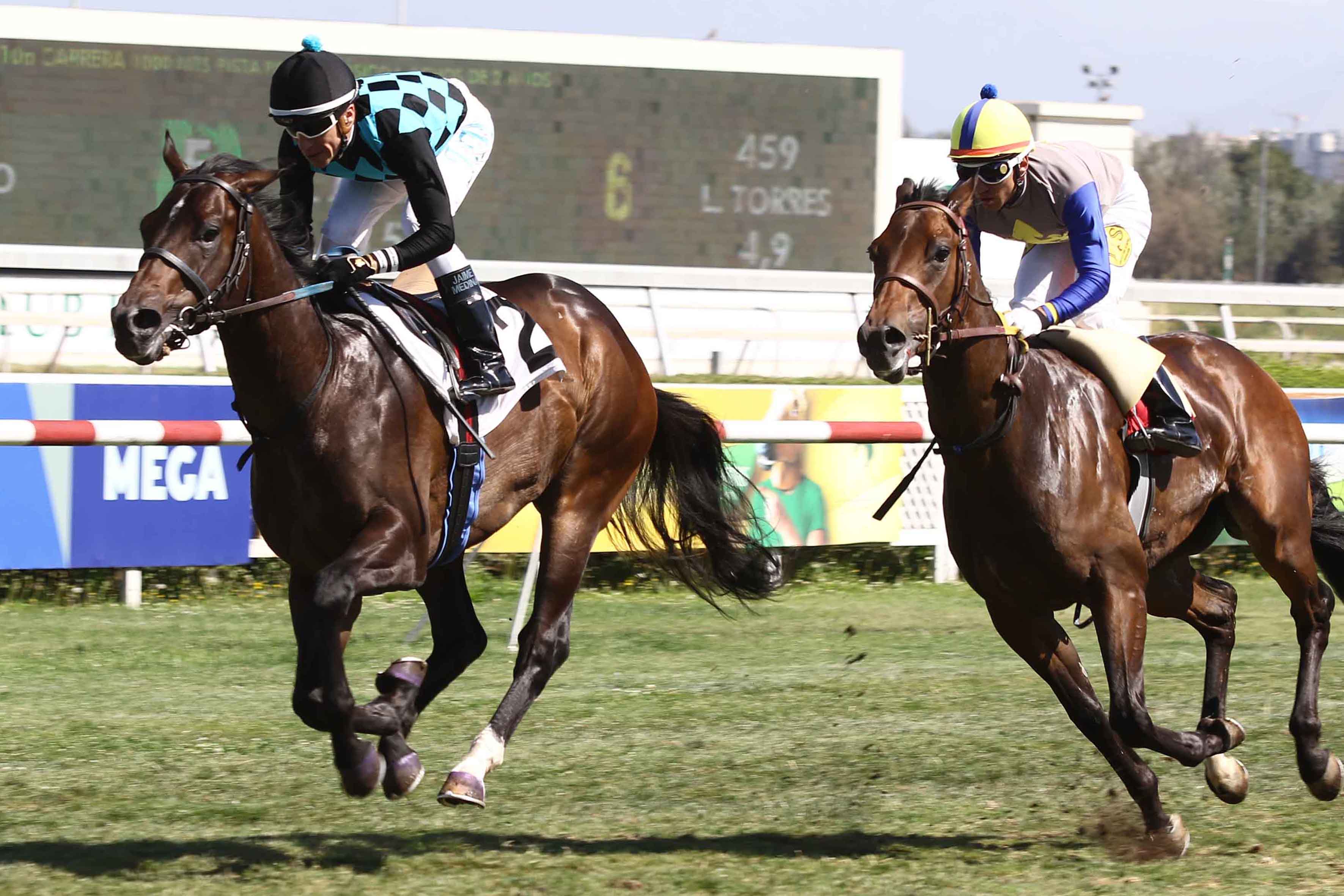 img_club_hipico_santiago