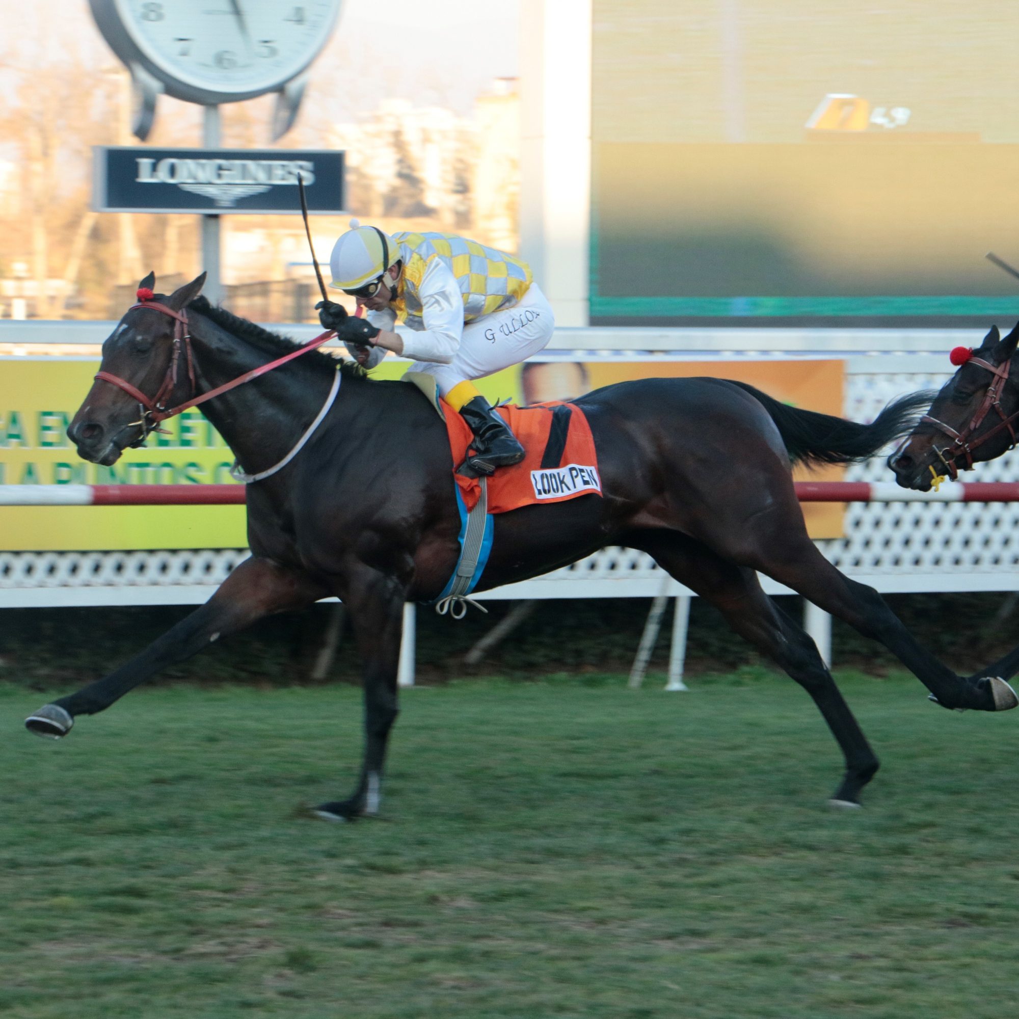 img_club_hipico_santiago