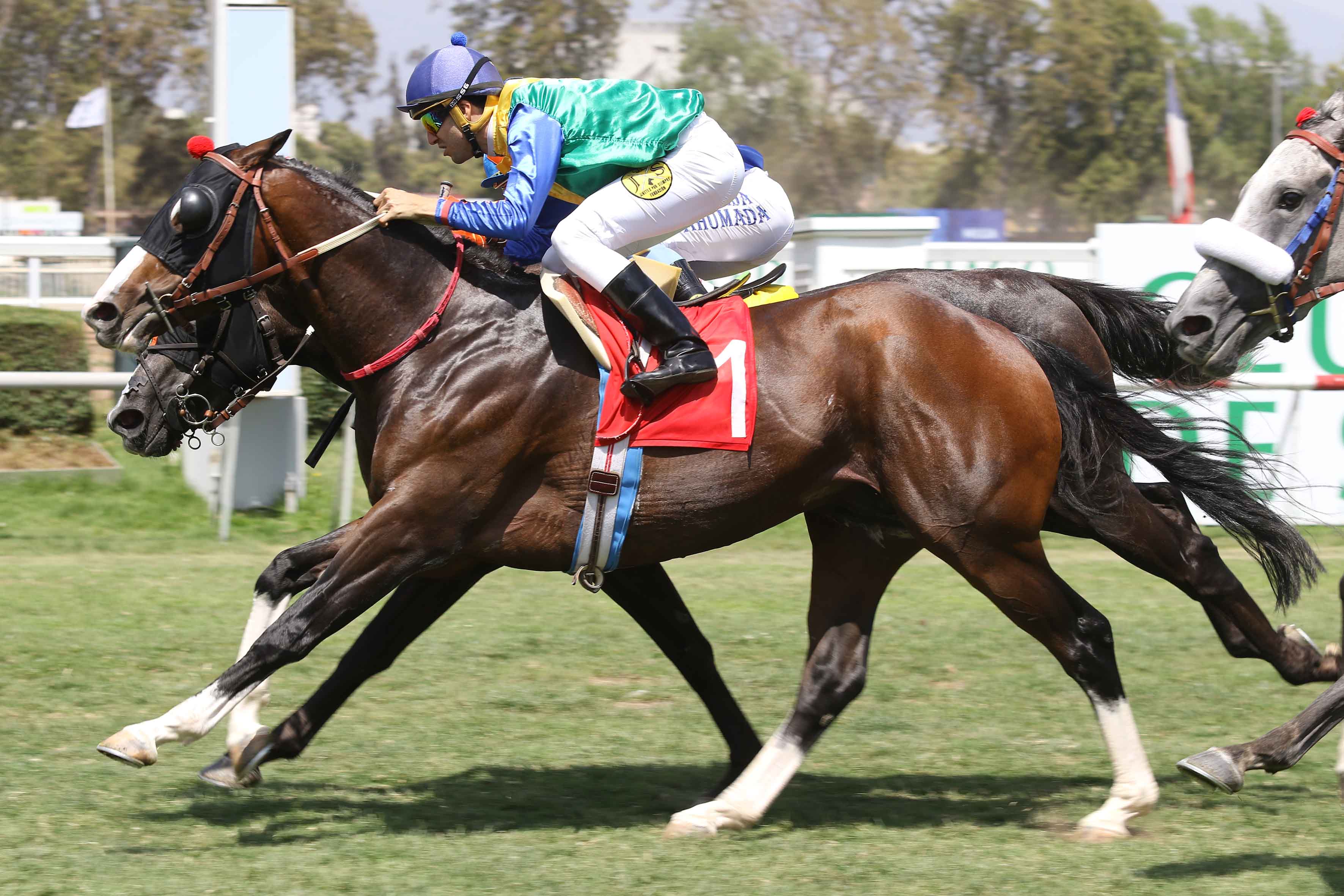 img_club_hipico_santiago