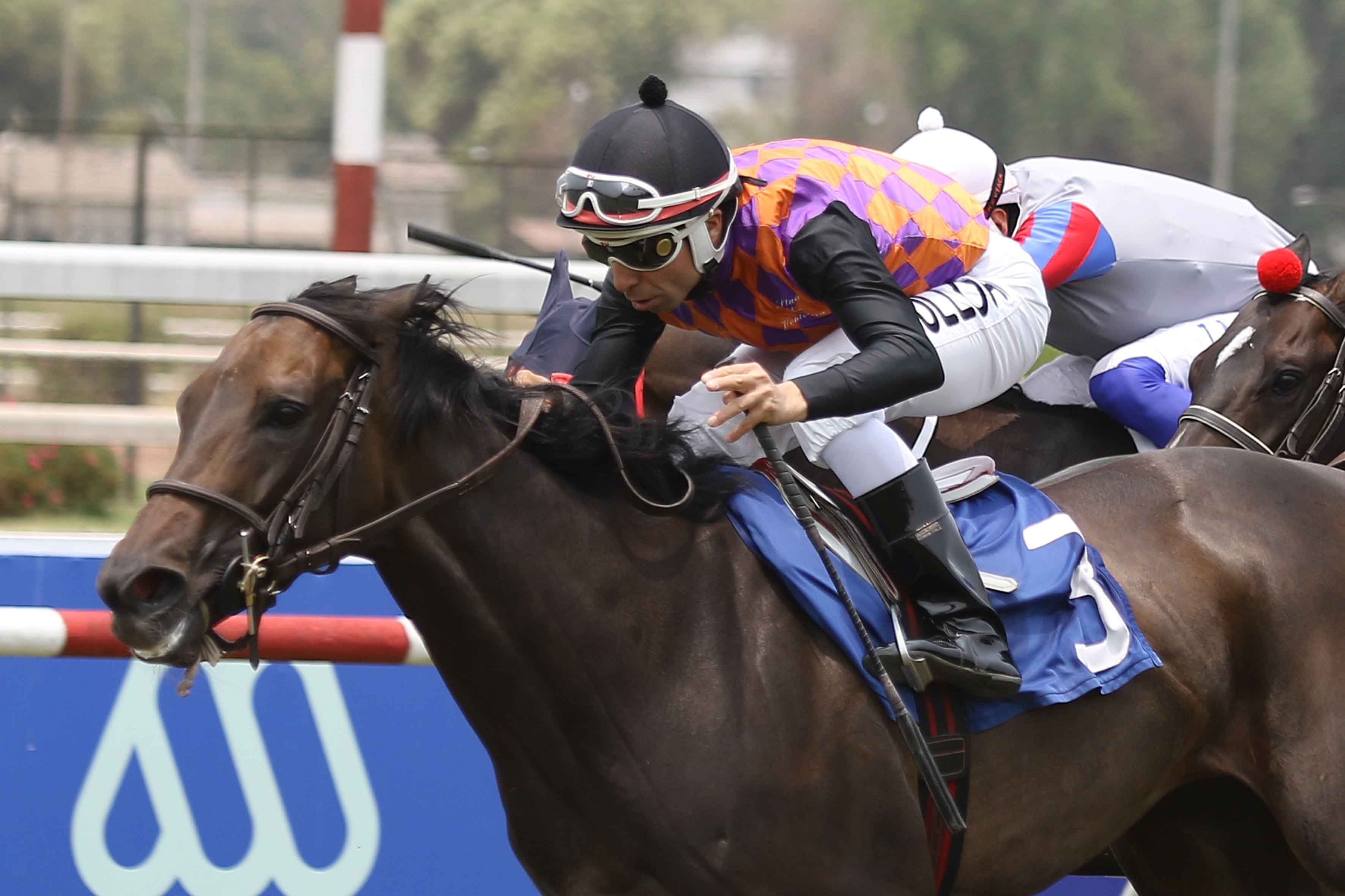 img_club_hipico_santiago