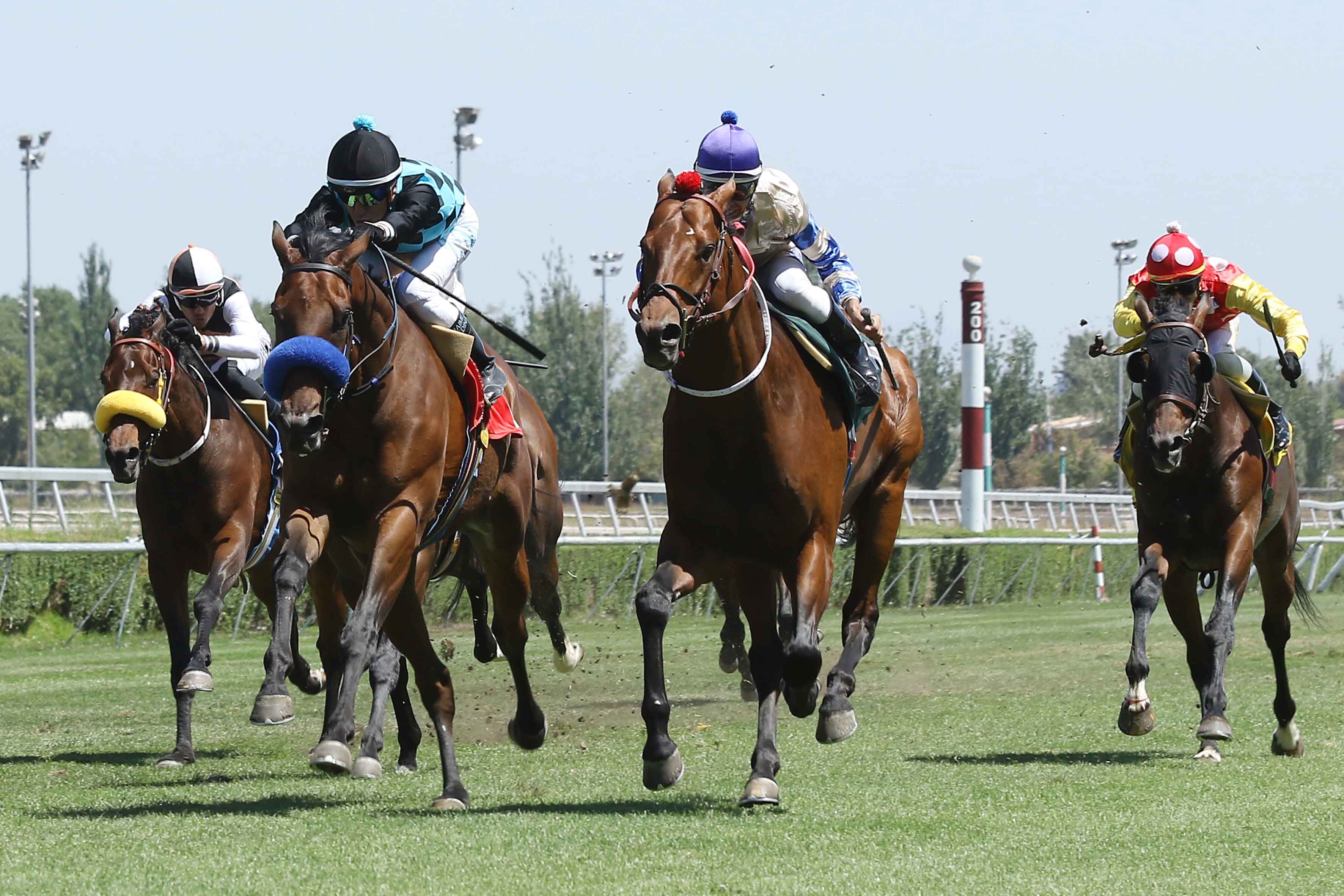 img_club_hipico_santiago