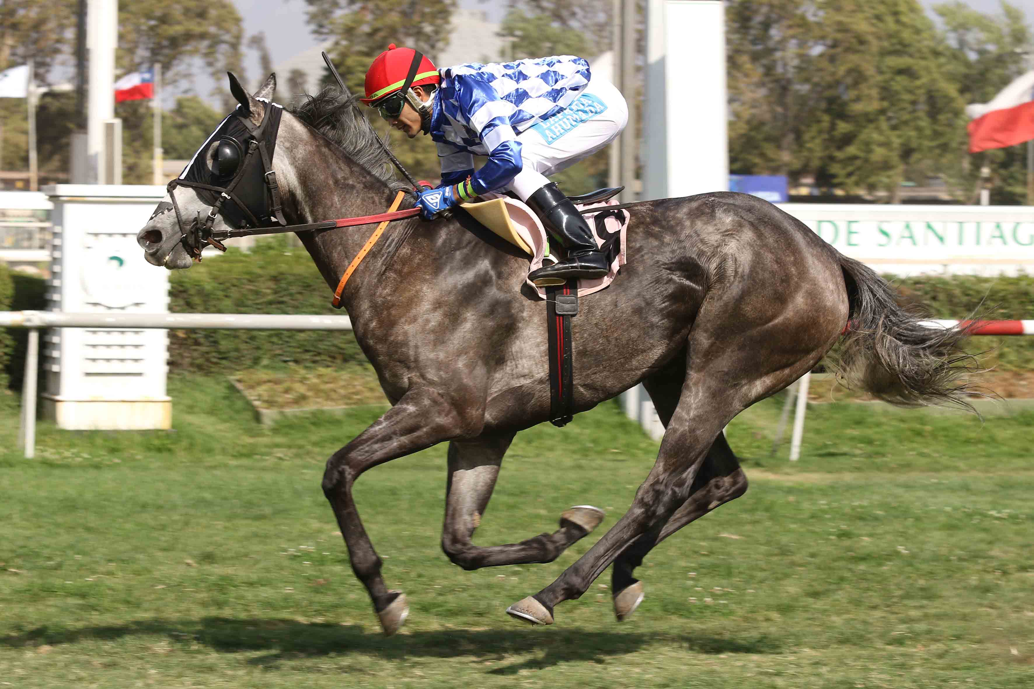 img_club_hipico_santiago