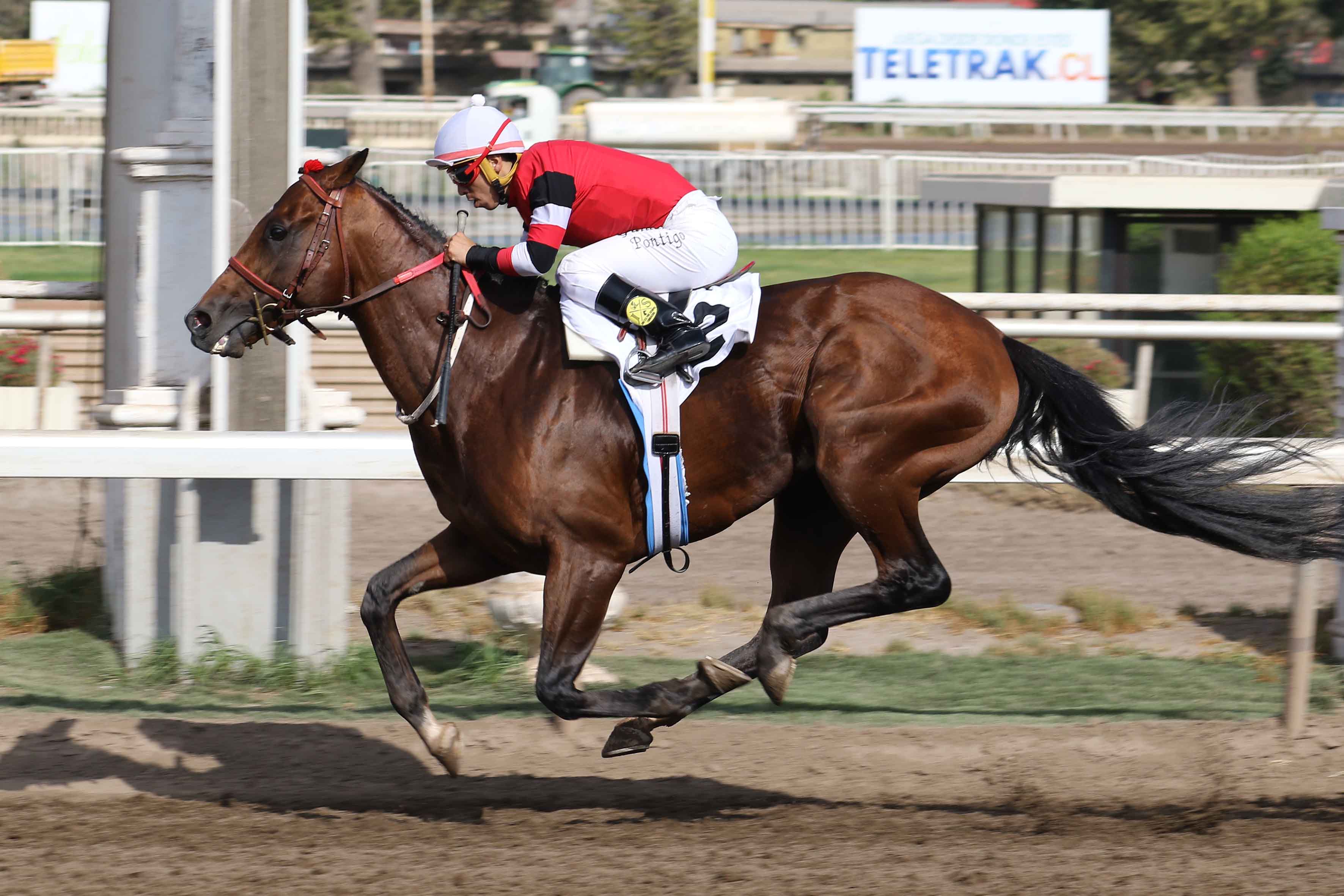 img_club_hipico_santiago