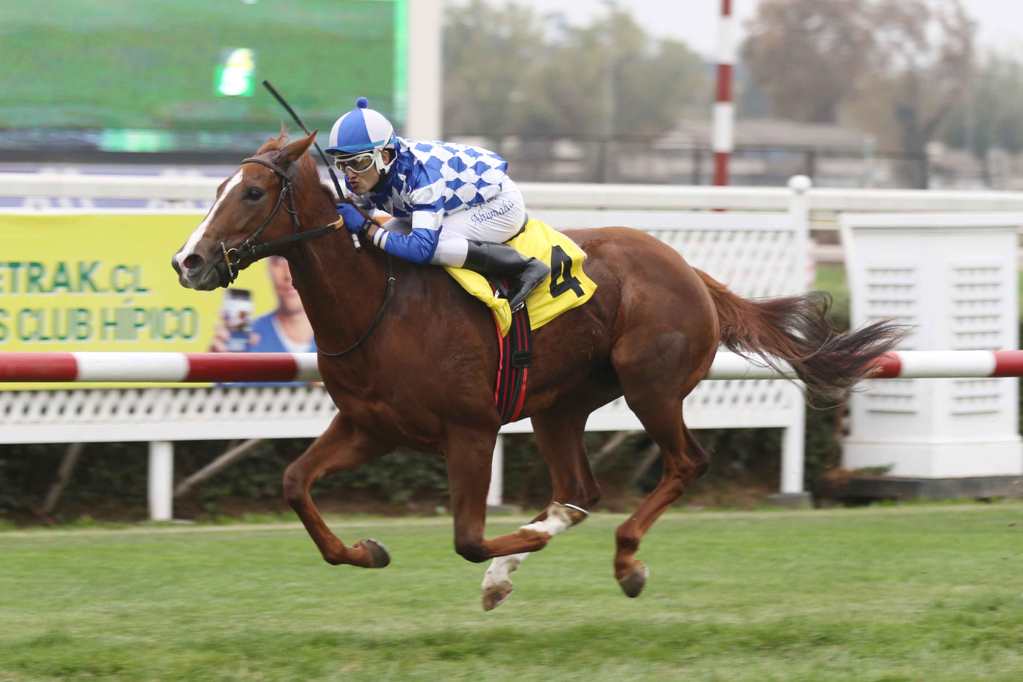 img_club_hipico_santiago