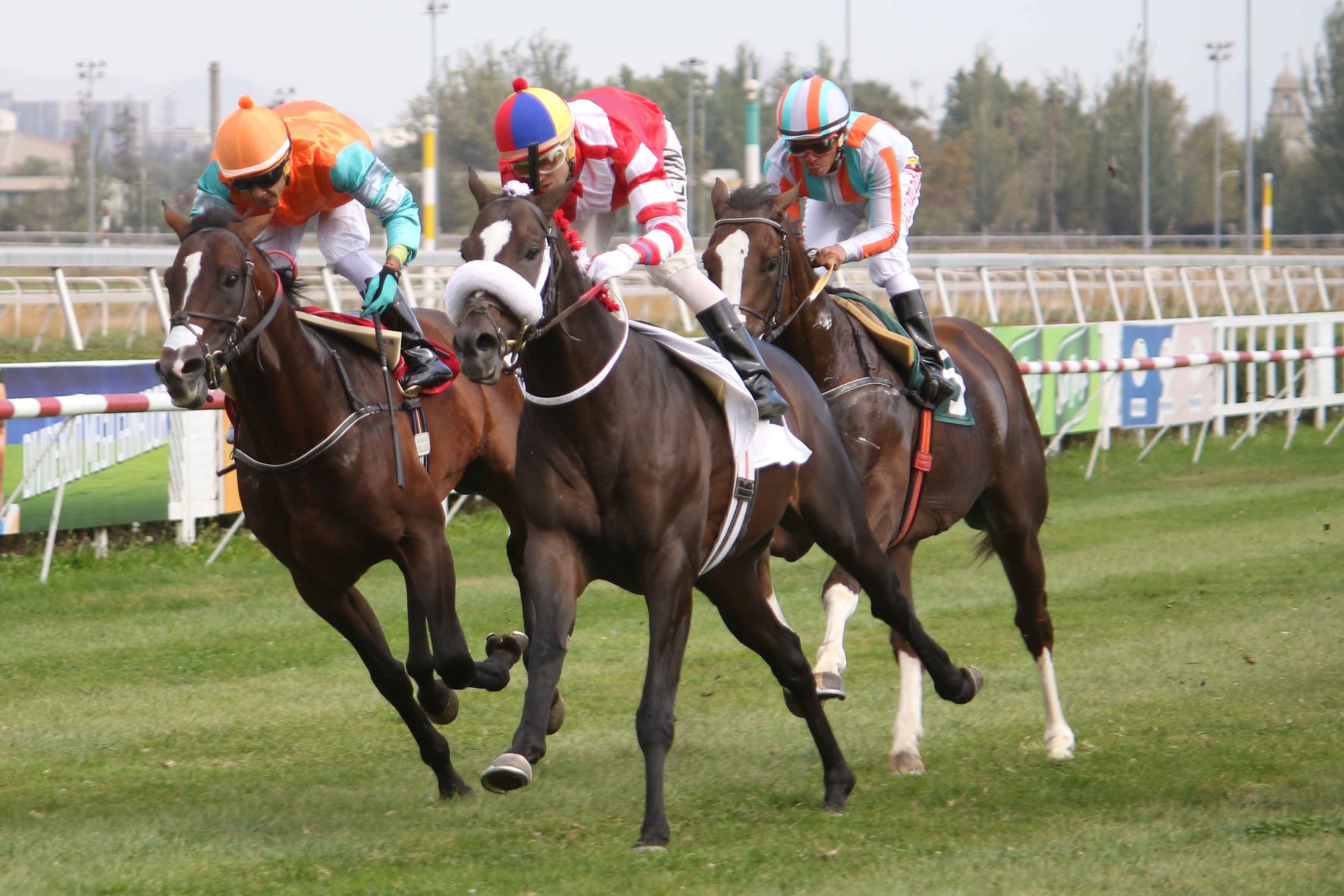 img_club_hipico_santiago