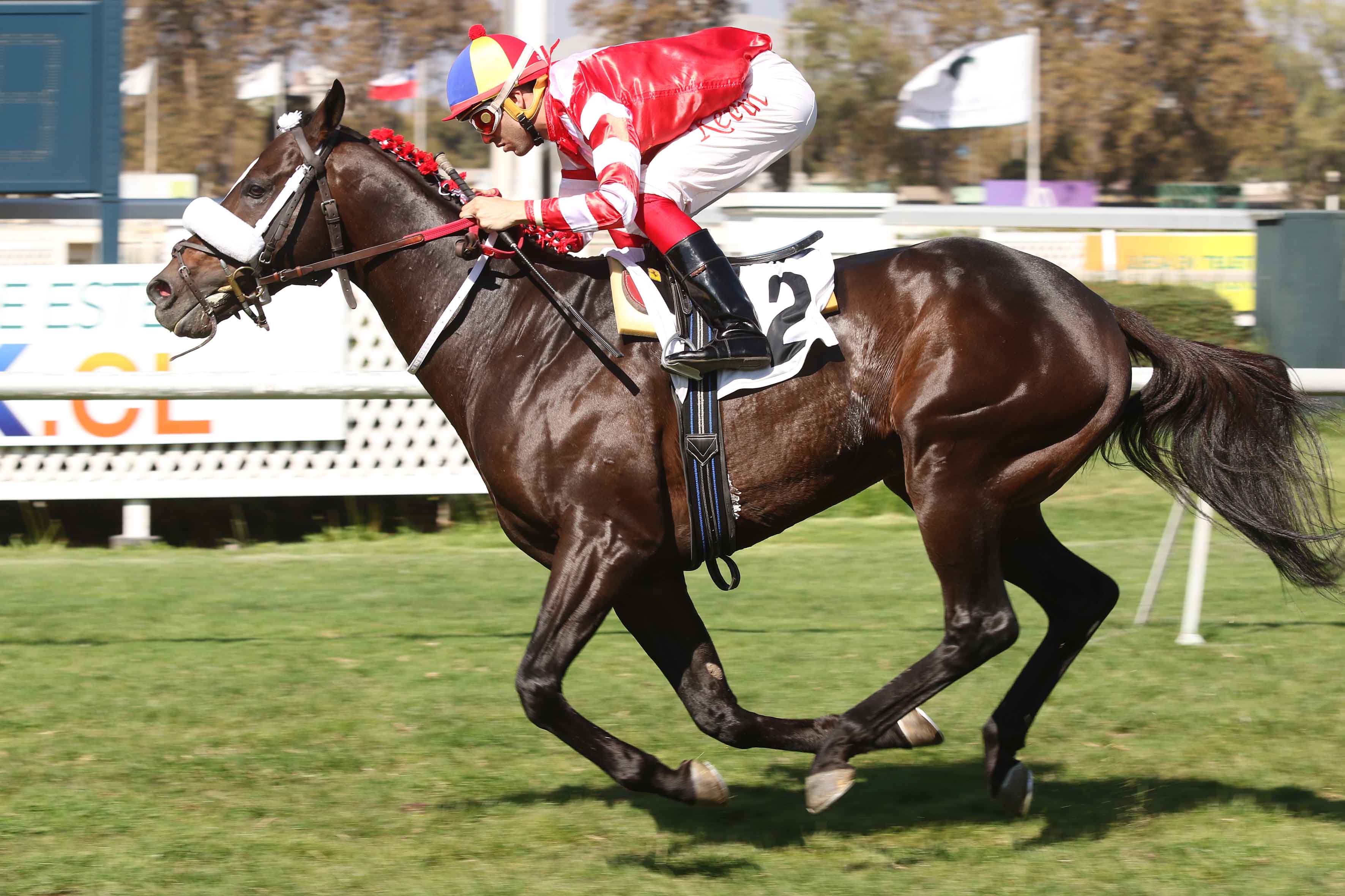 img_club_hipico_santiago