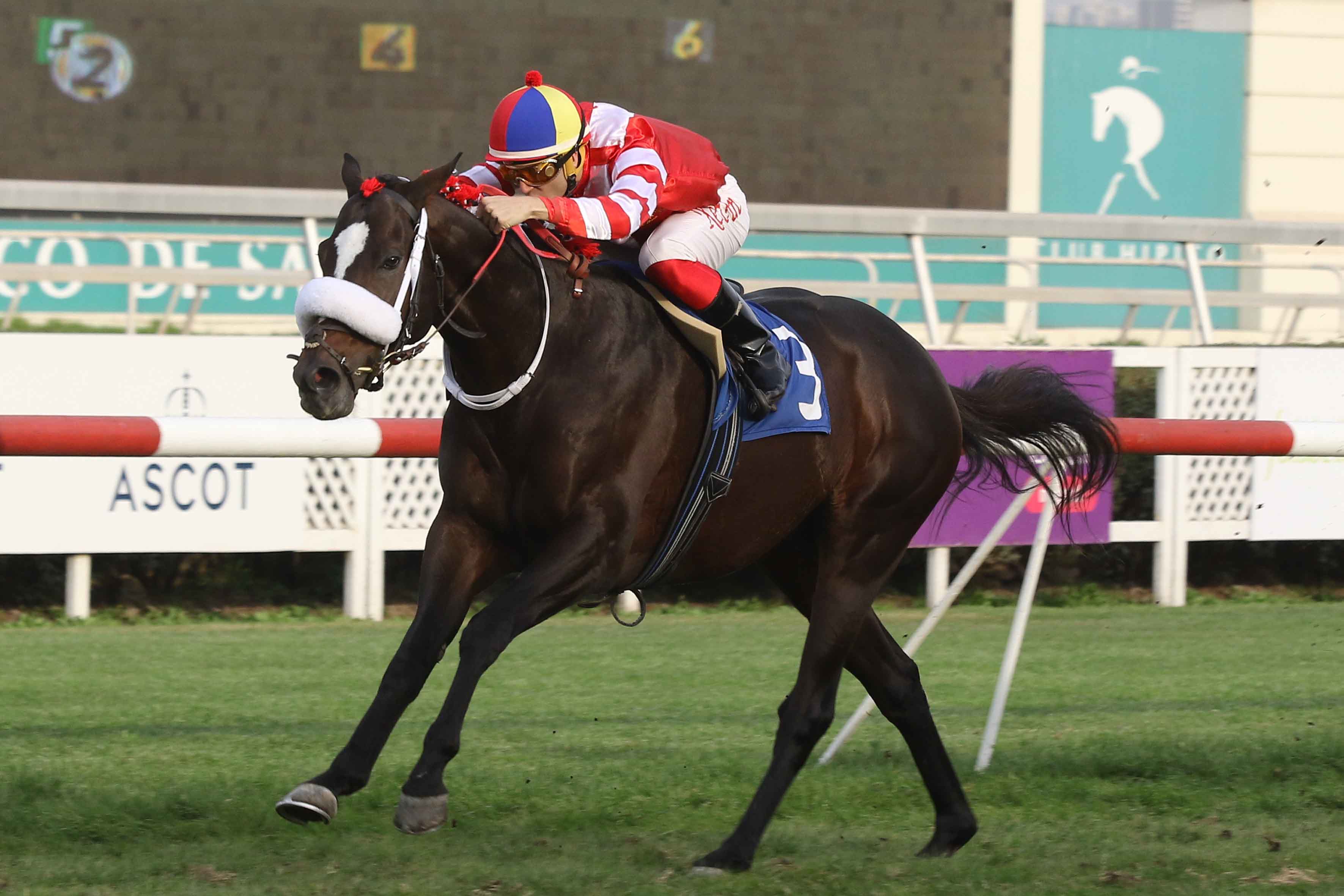 img_club_hipico_santiago