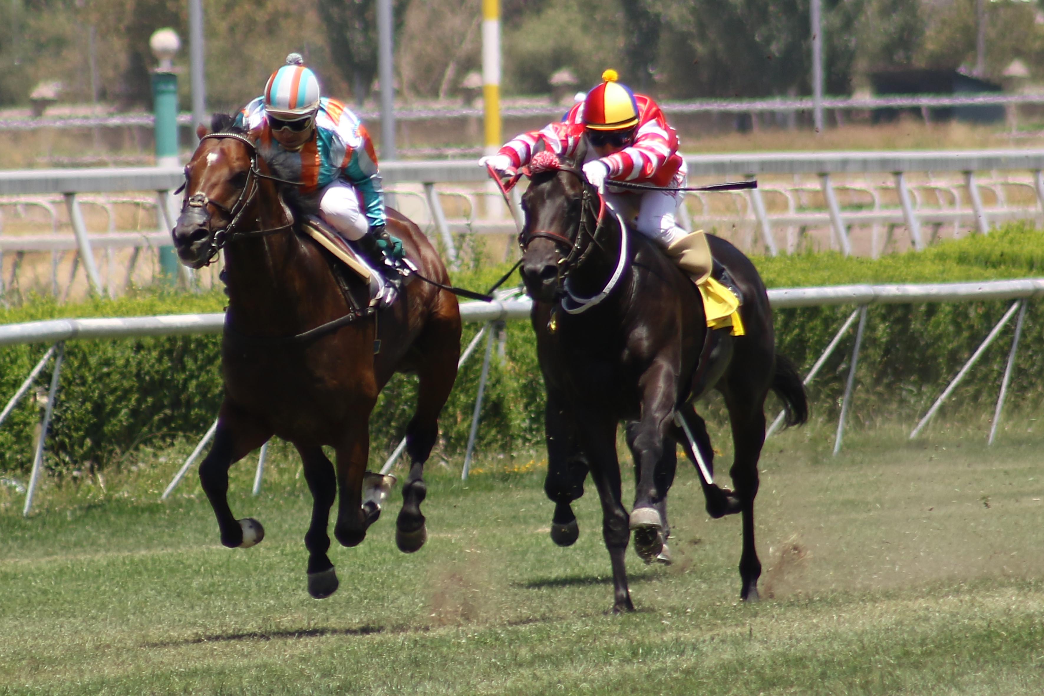 img_club_hipico_santiago