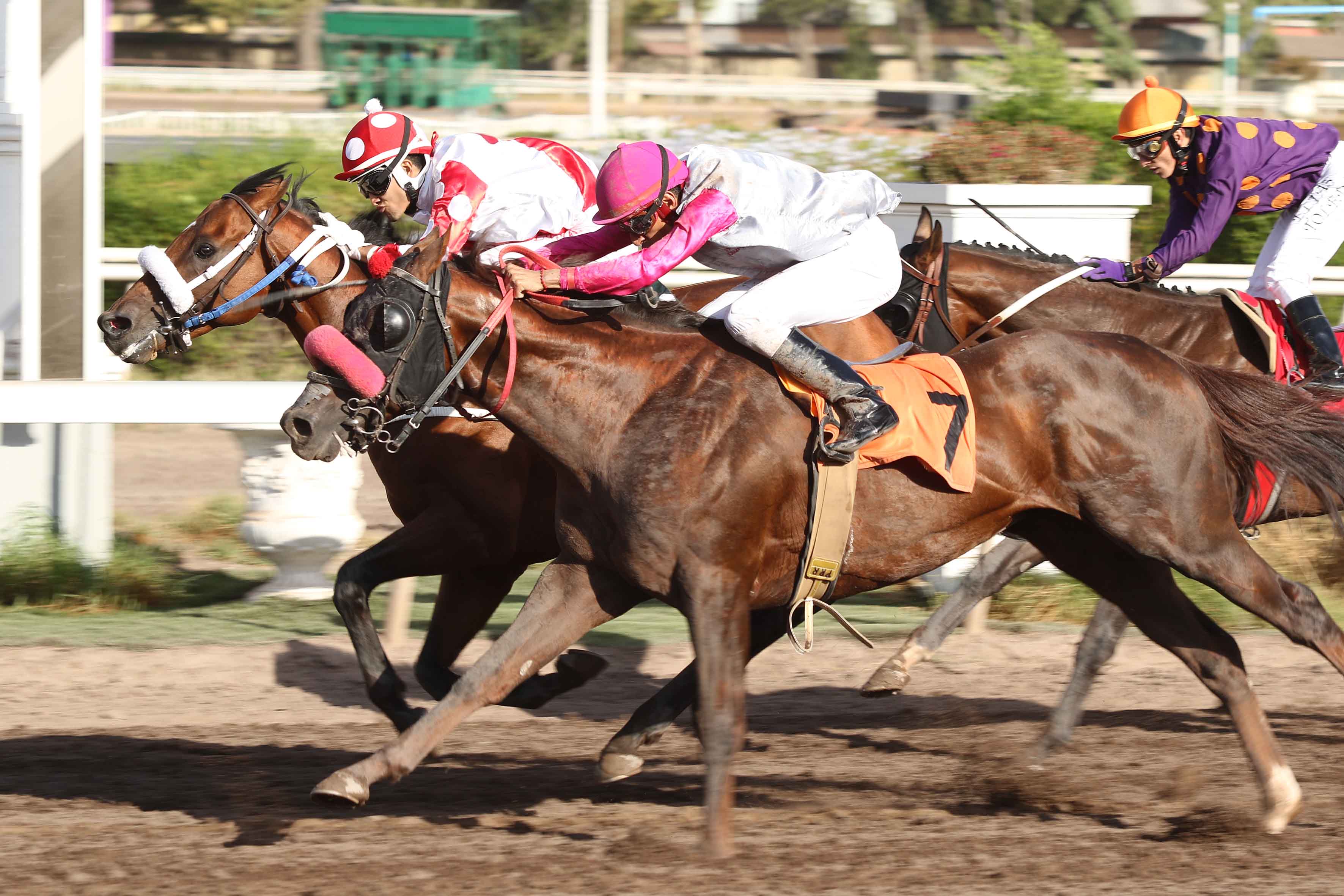 img_club_hipico_santiago