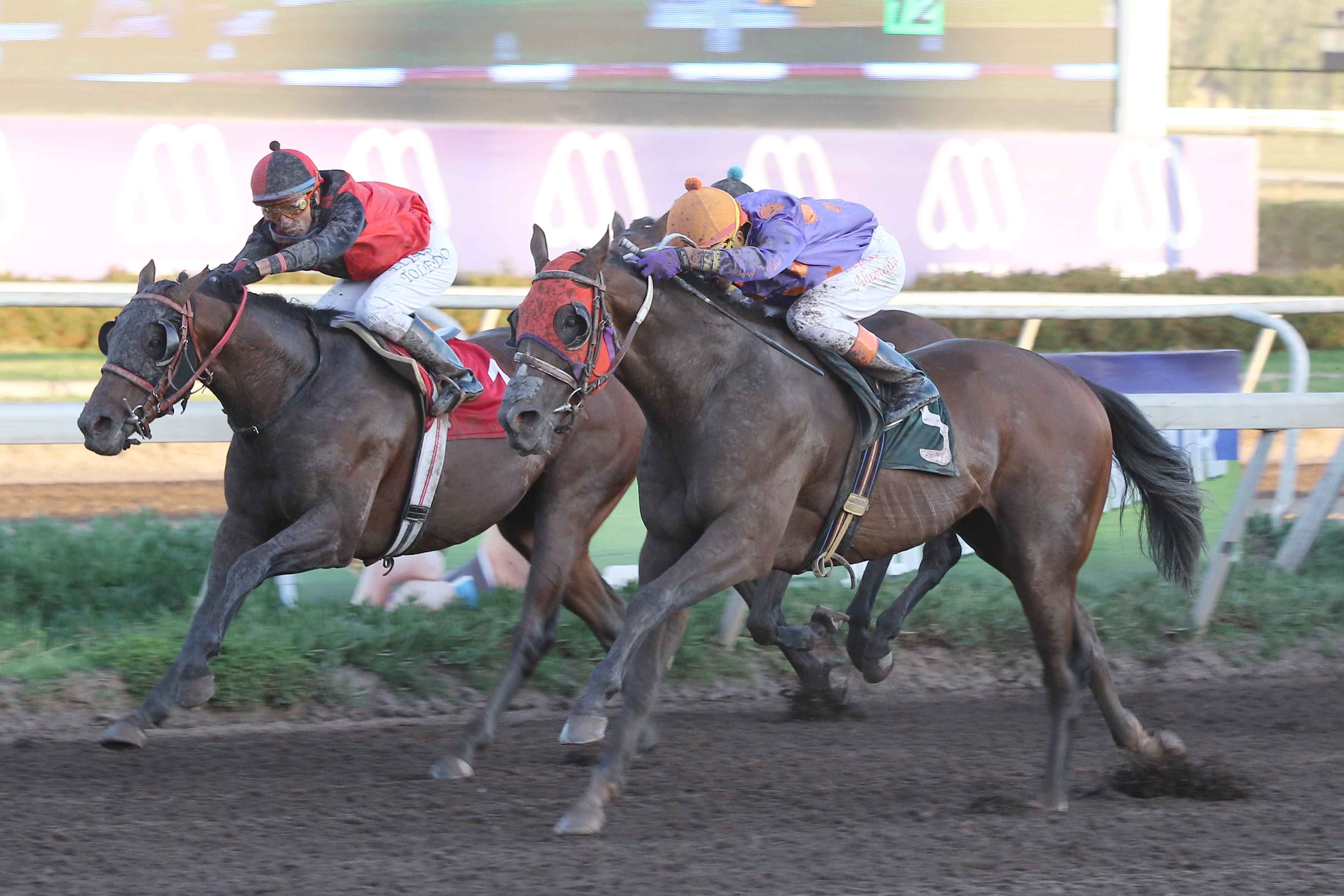 img_club_hipico_santiago