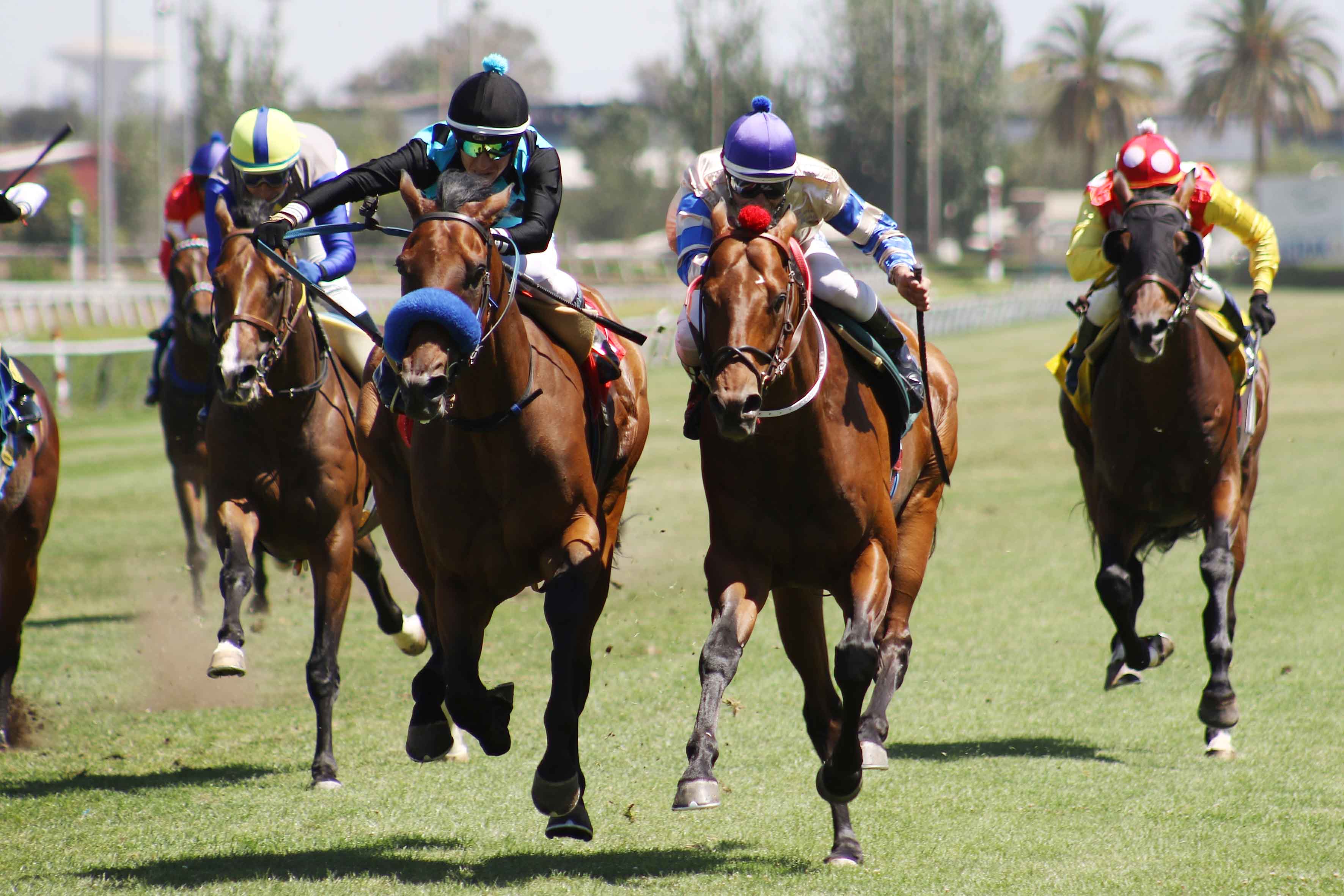 img_club_hipico_santiago