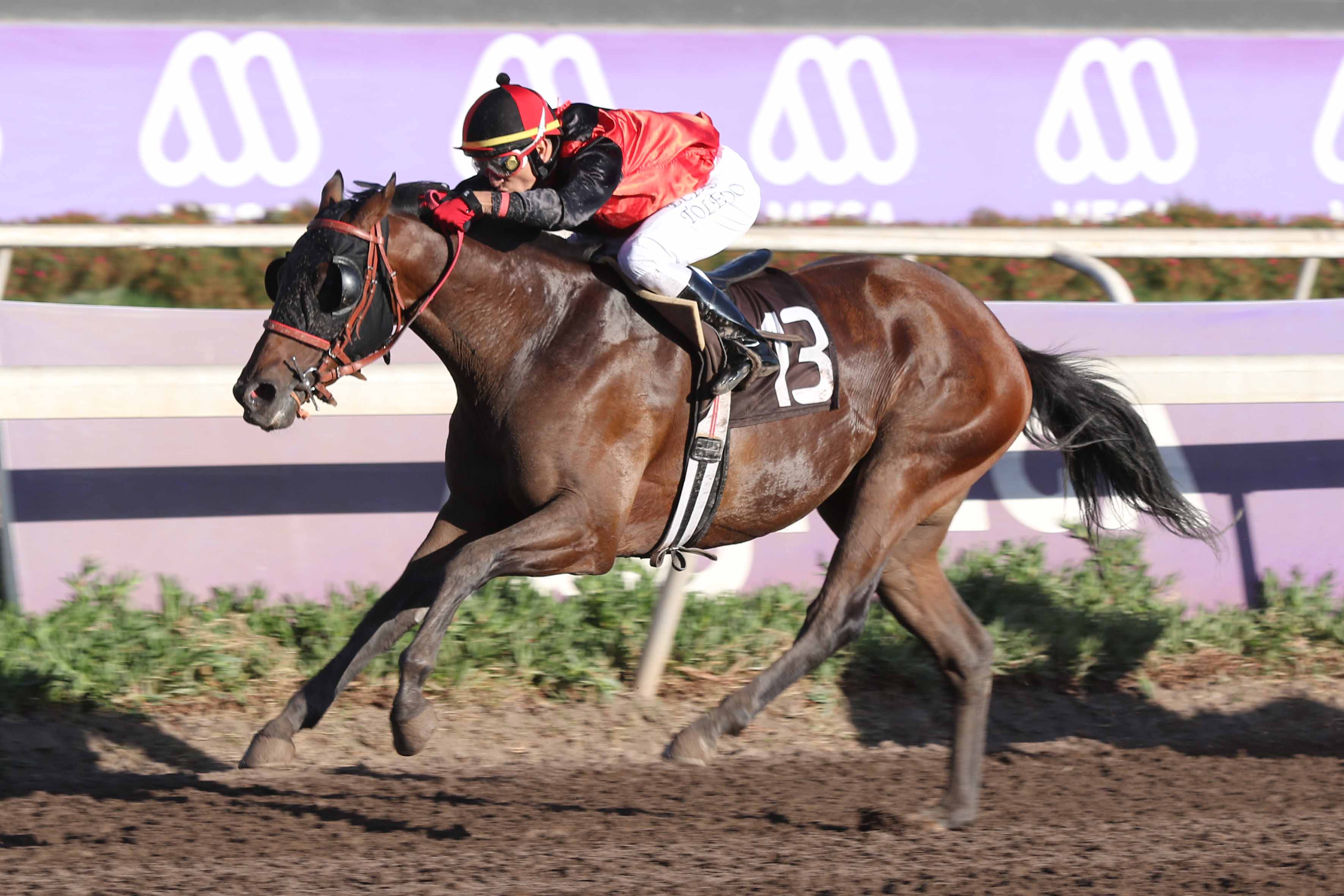 img_club_hipico_santiago