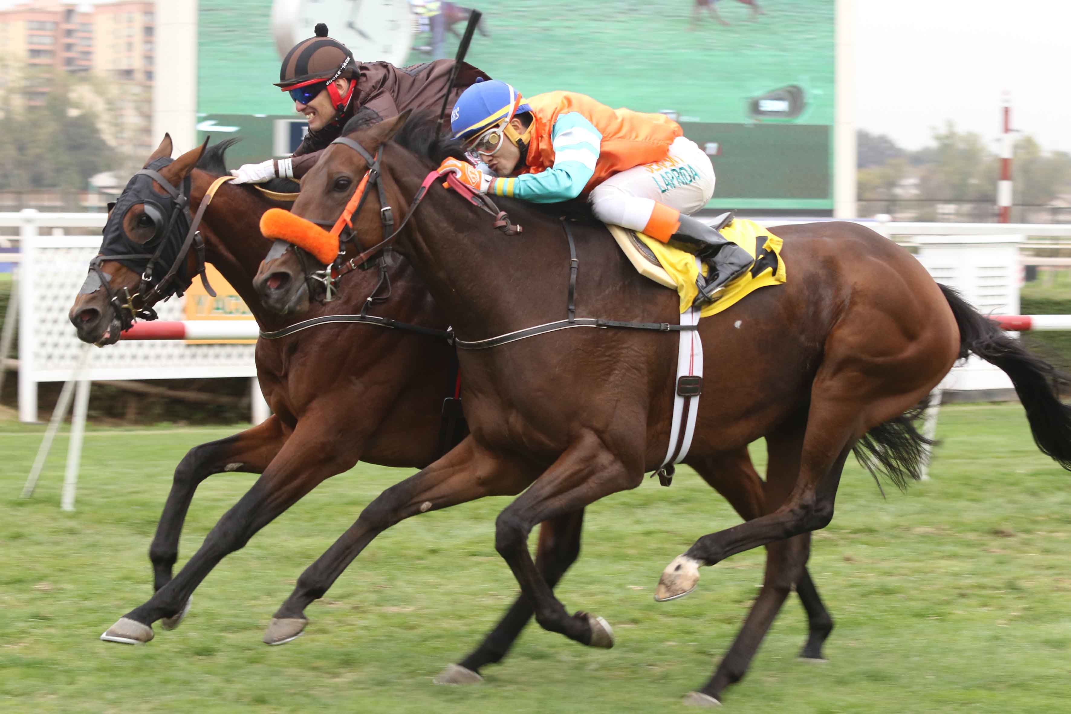 img_club_hipico_santiago