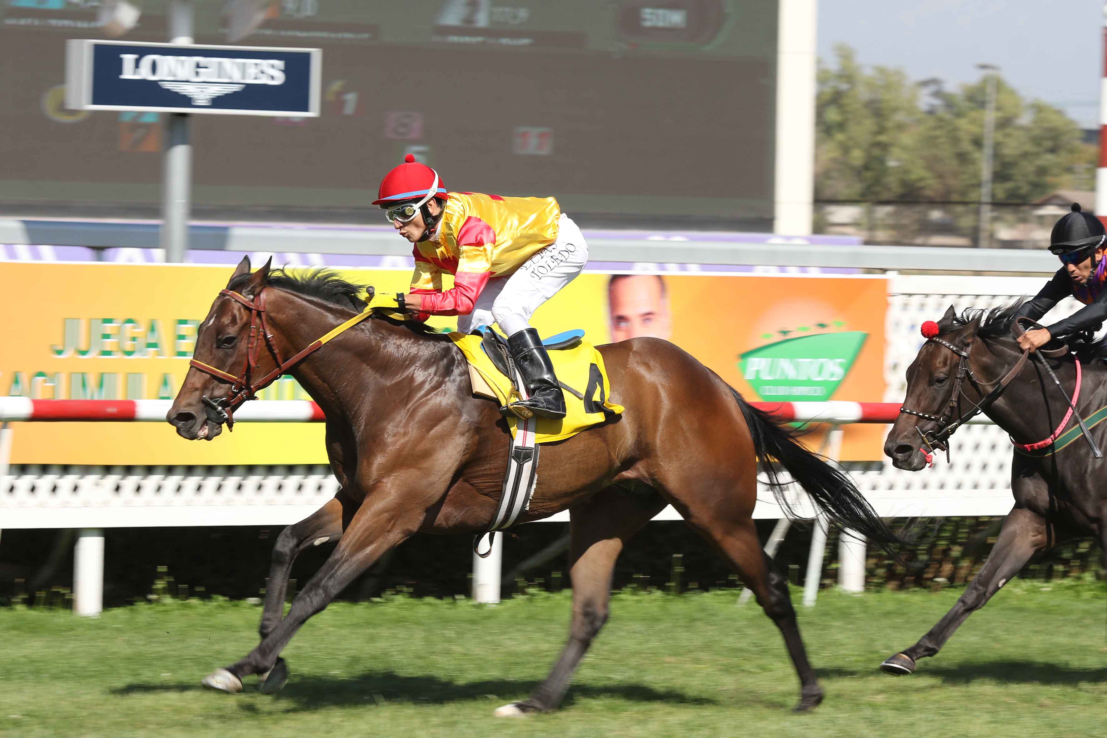 img_club_hipico_santiago