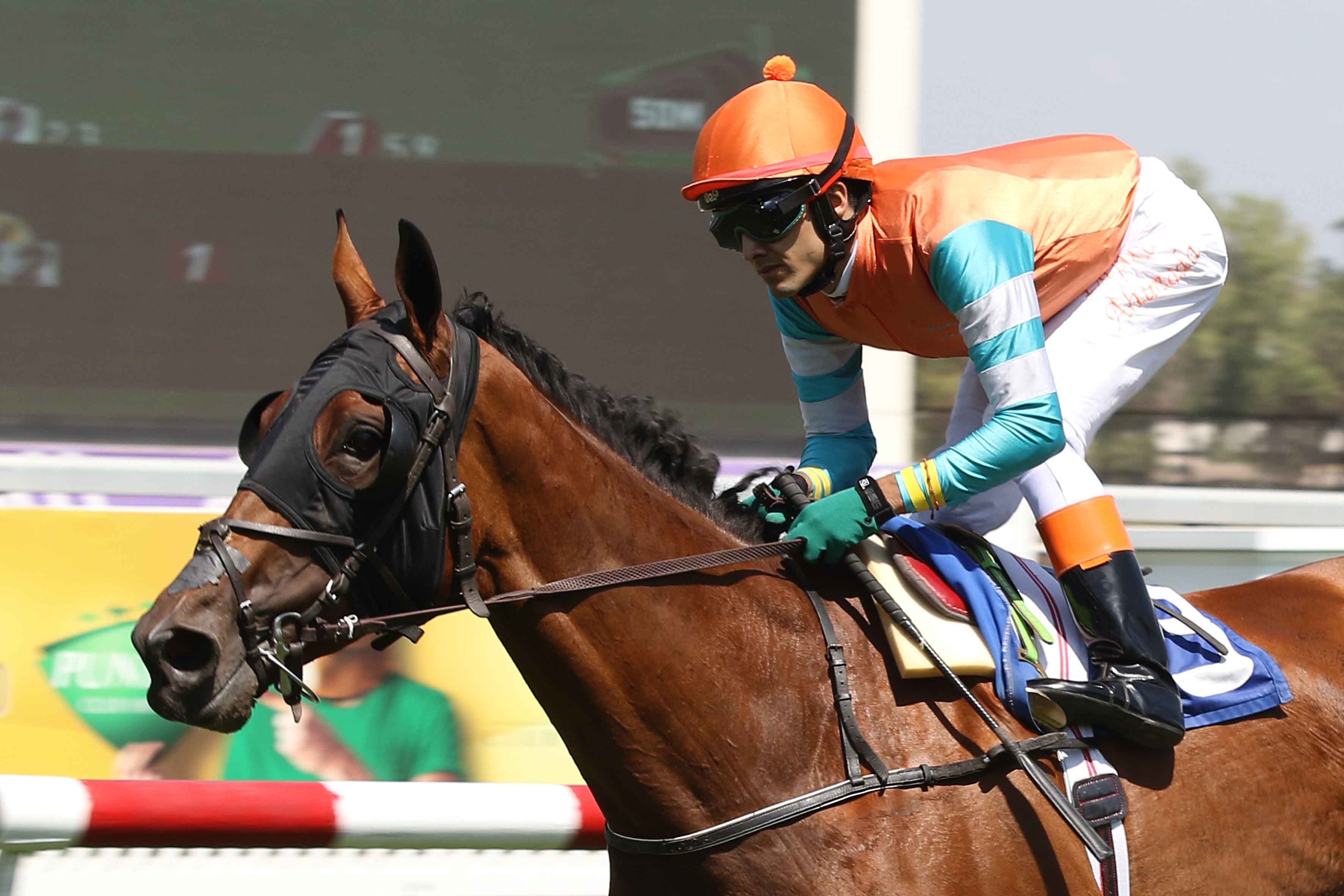 img_club_hipico_santiago