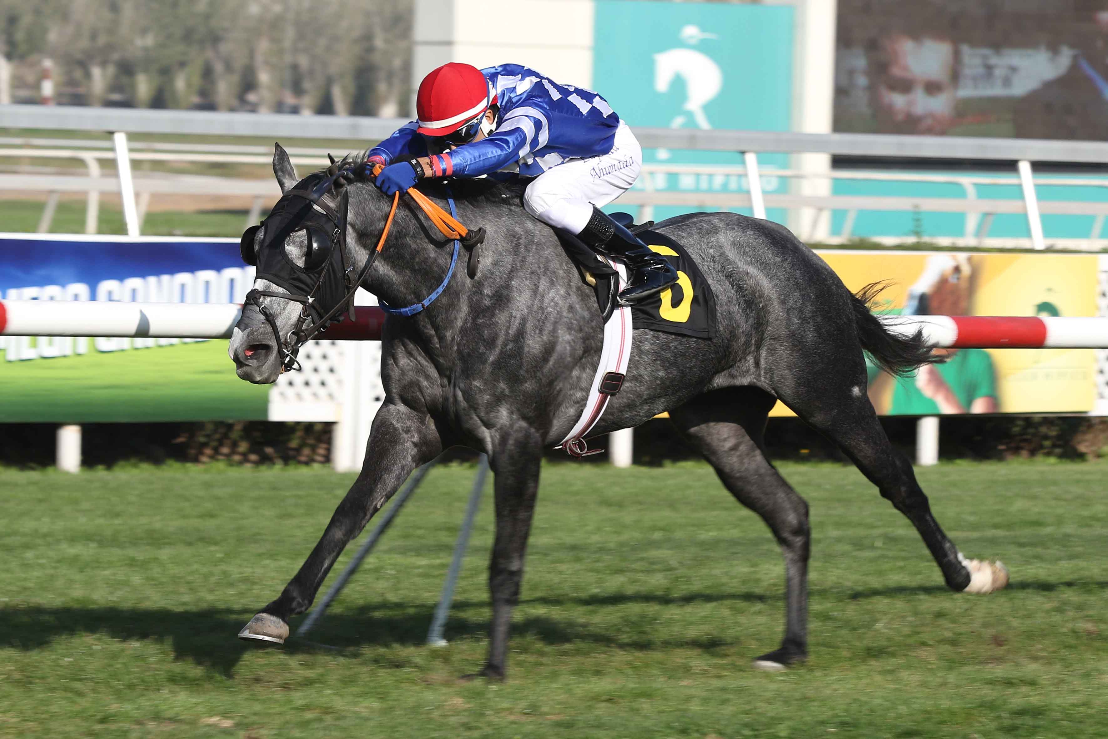 img_club_hipico_santiago