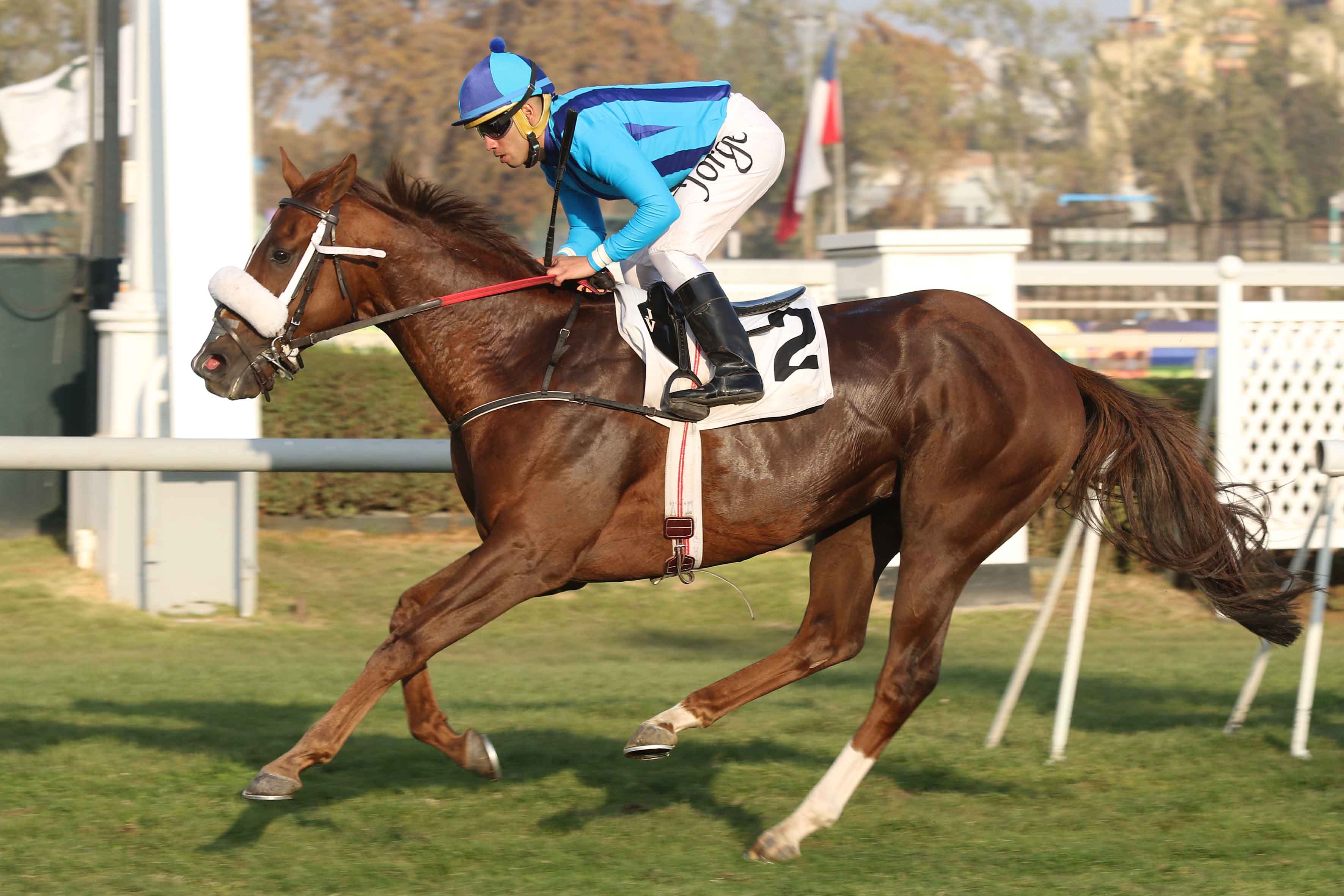 img_club_hipico_santiago