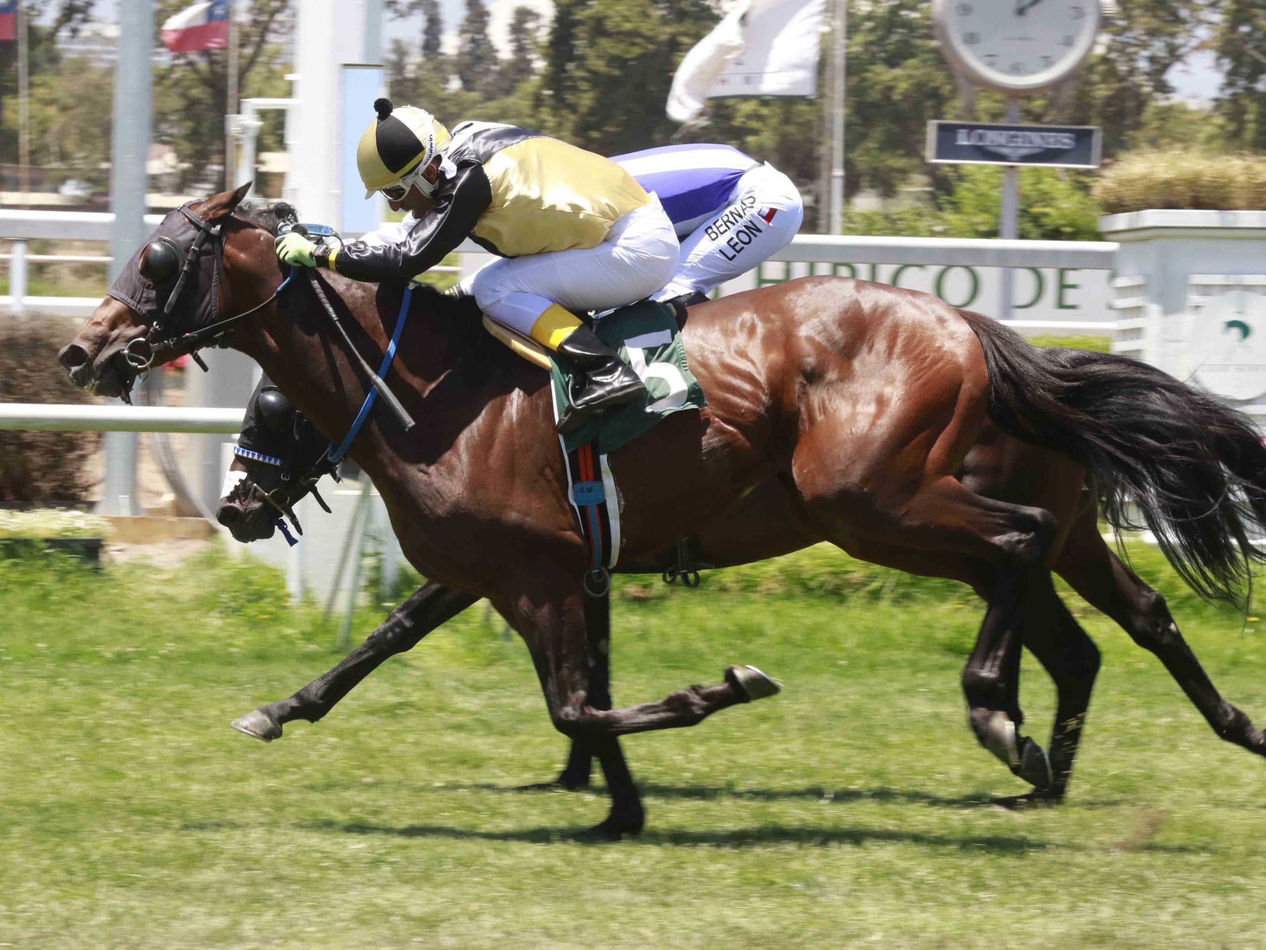 img_club_hipico_santiago