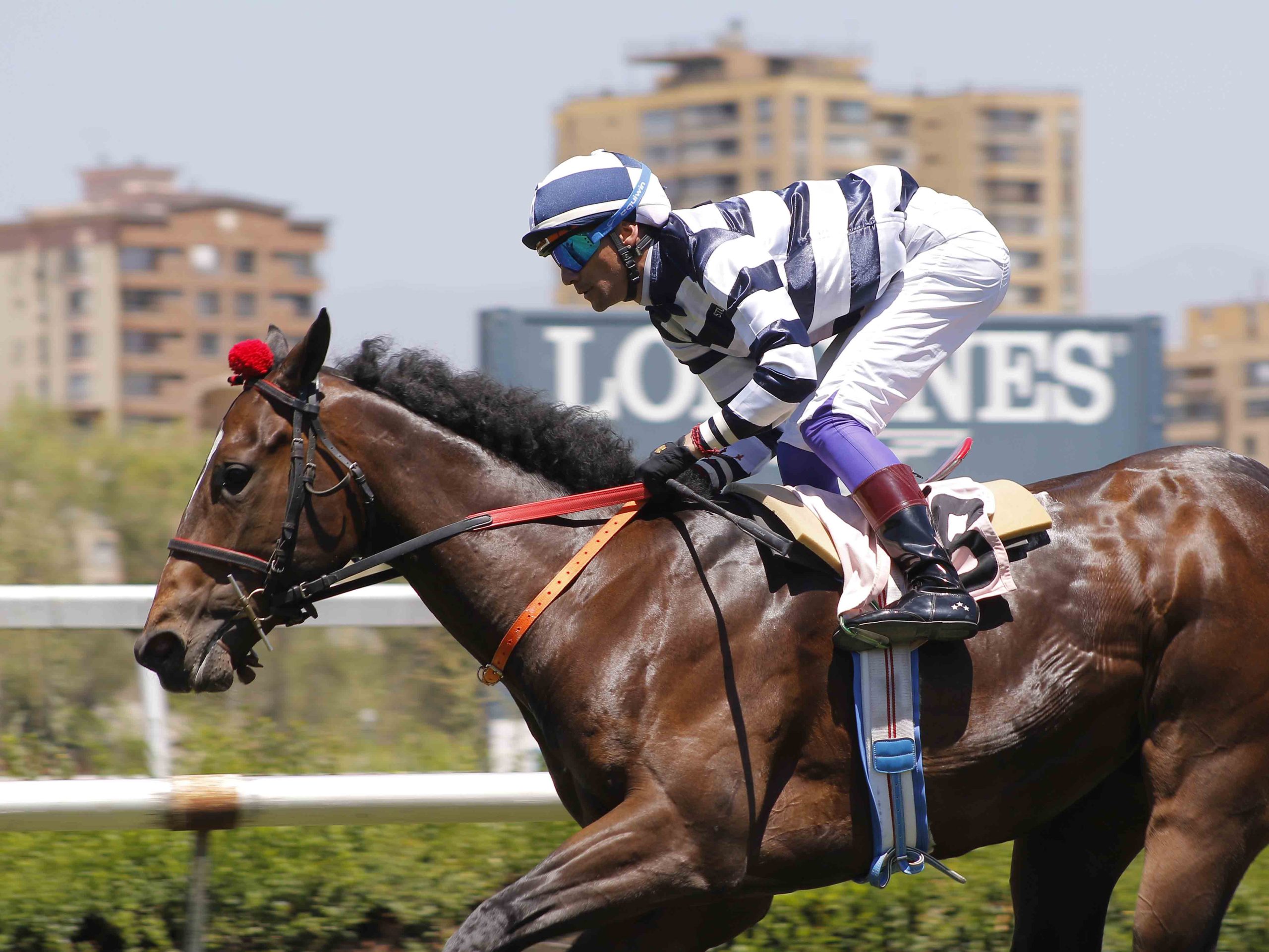 img_club_hipico_santiago