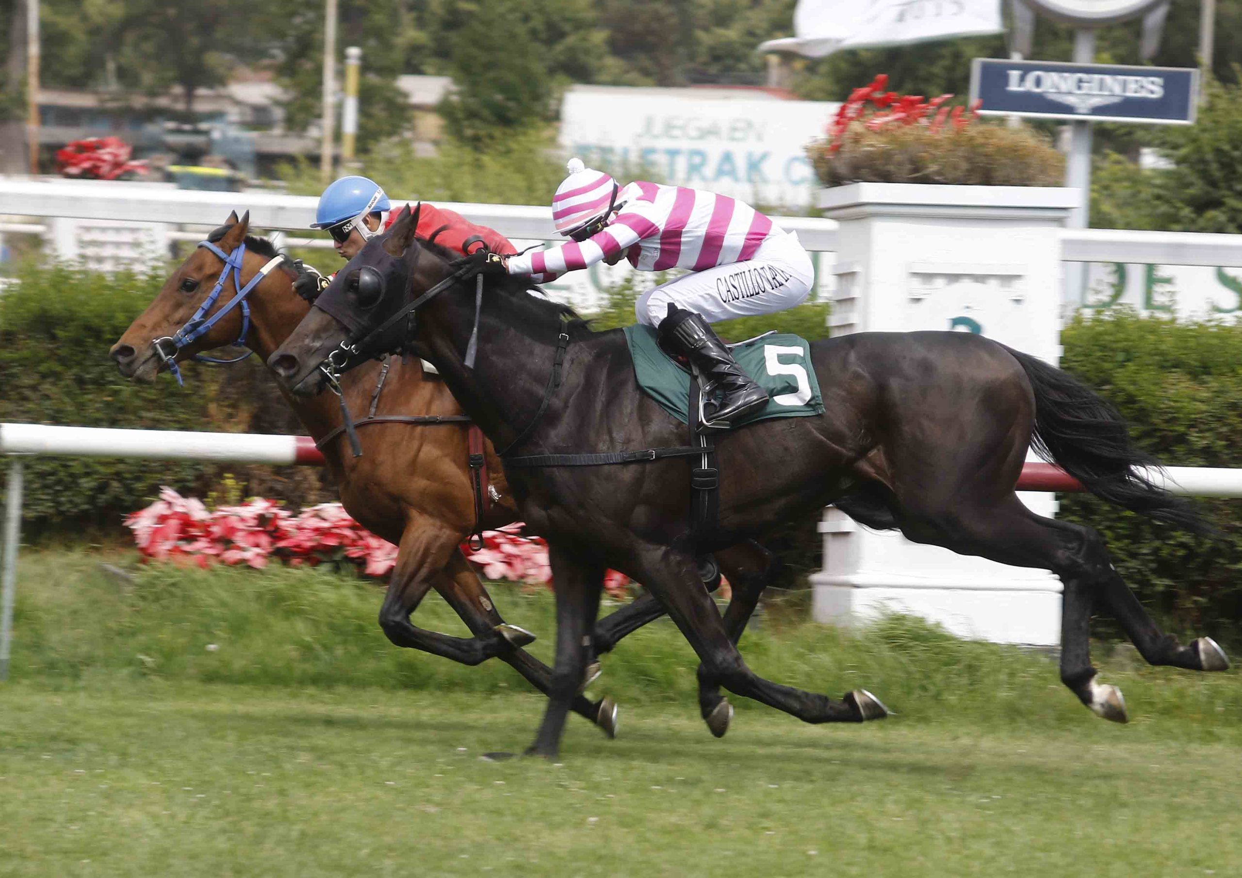 Club Hípico Santiago