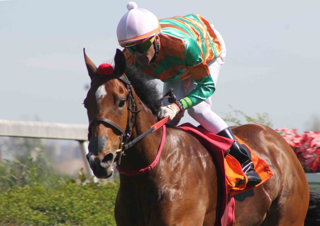 Club Hípico Santiago