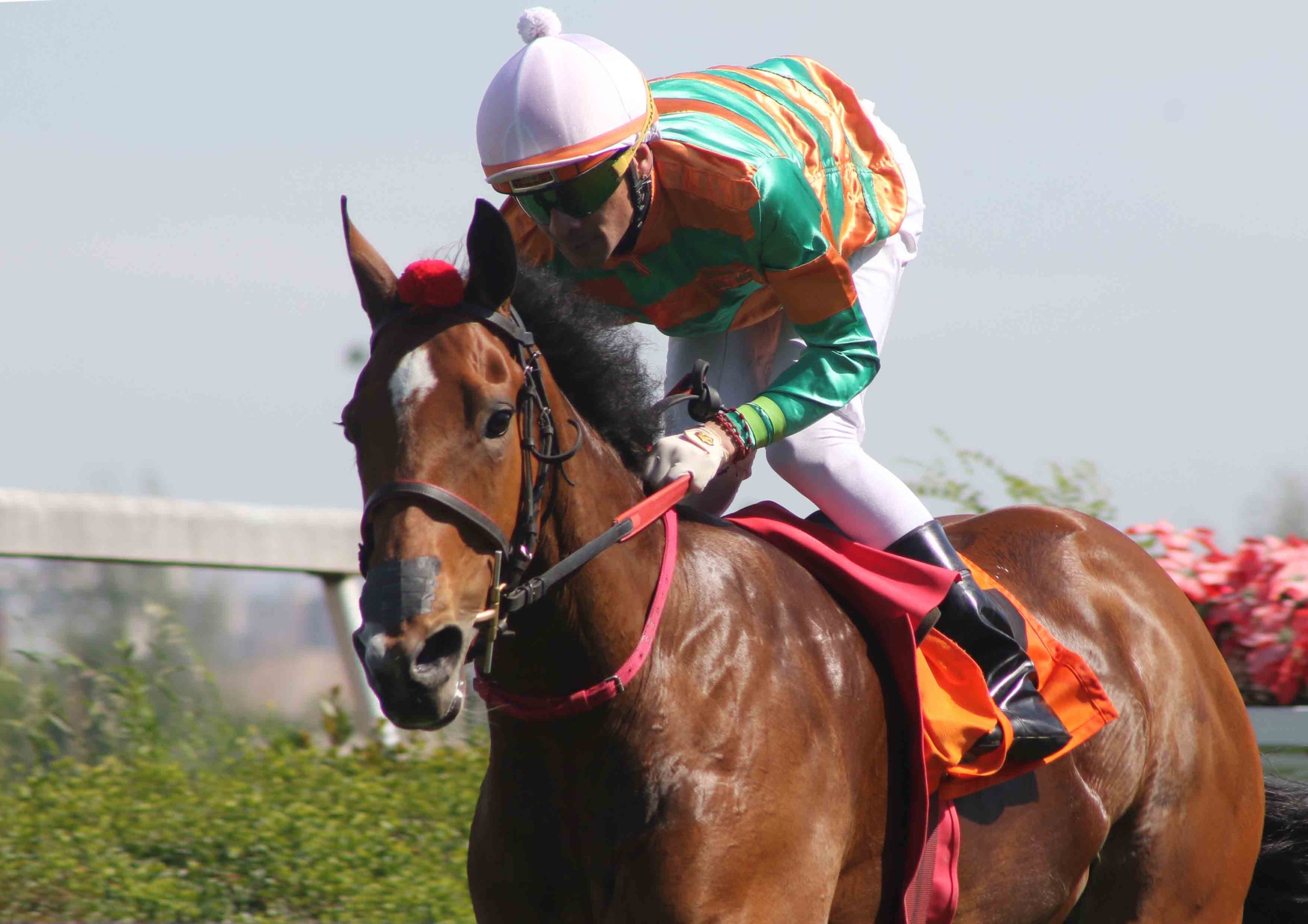 Club Hípico Santiago