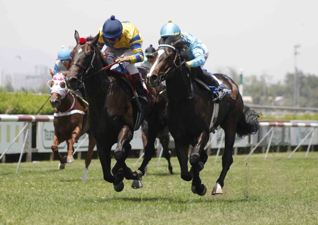 Club Hípico Santiago