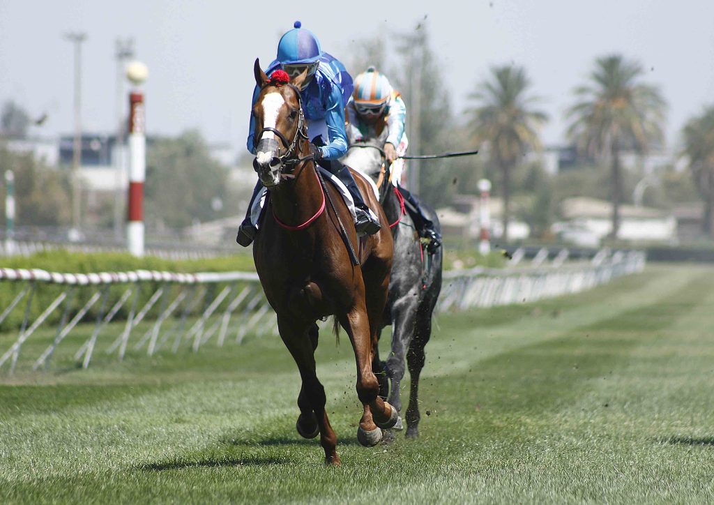 Club Hípico Santiago