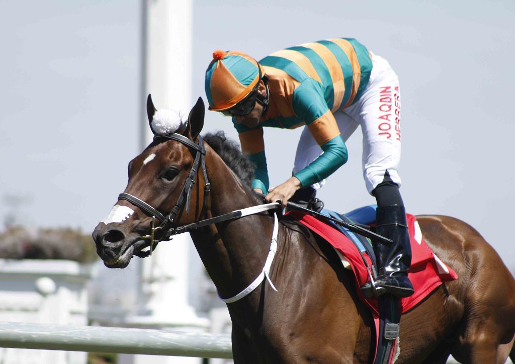 Club Hípico Santiago