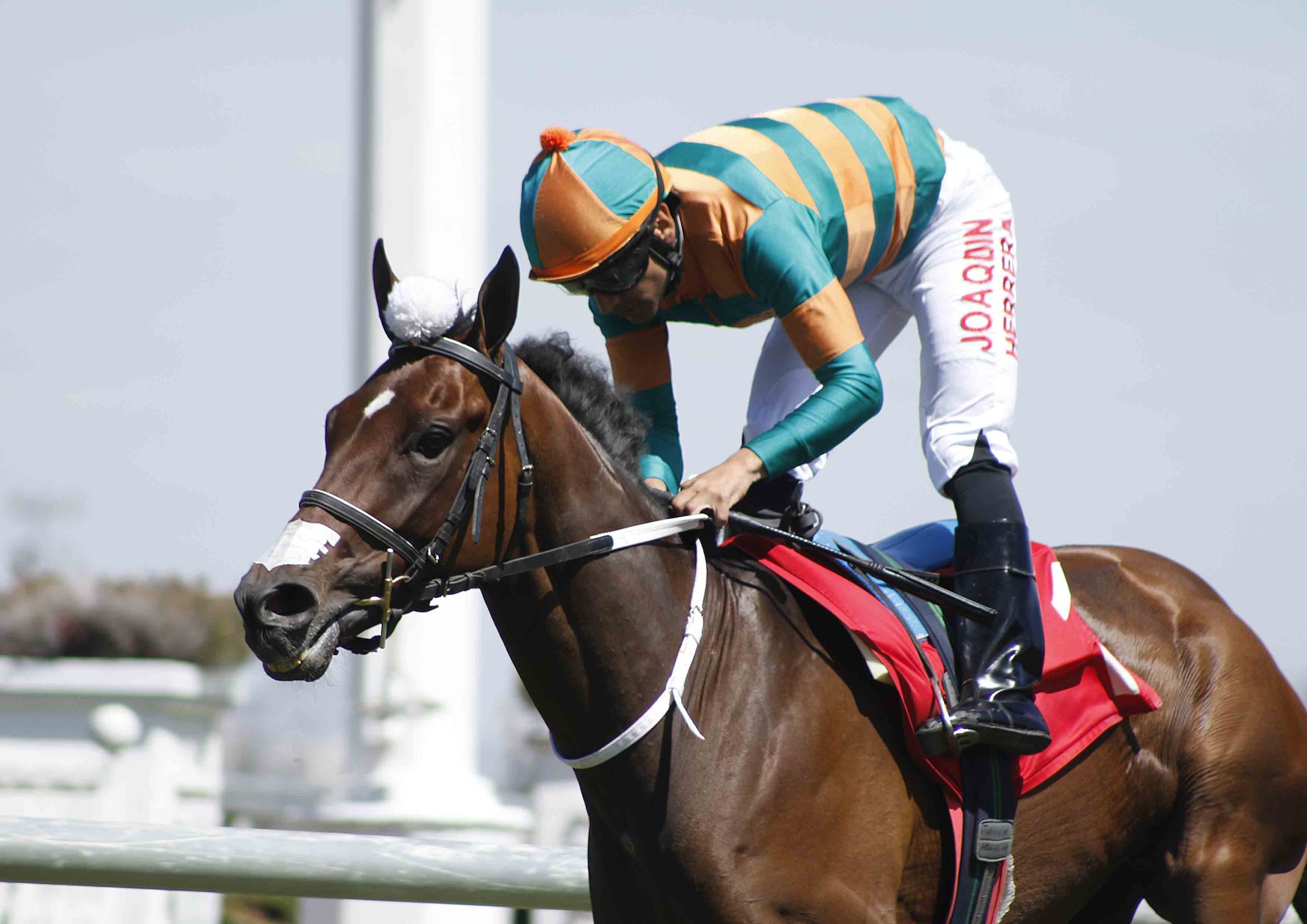 Club Hípico Santiago